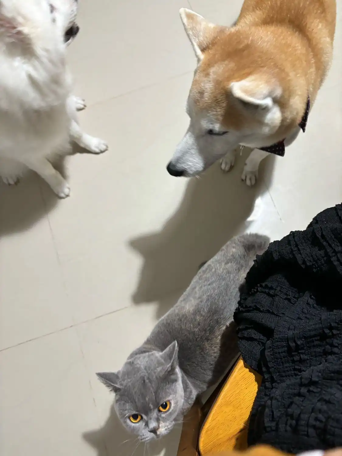 image-6