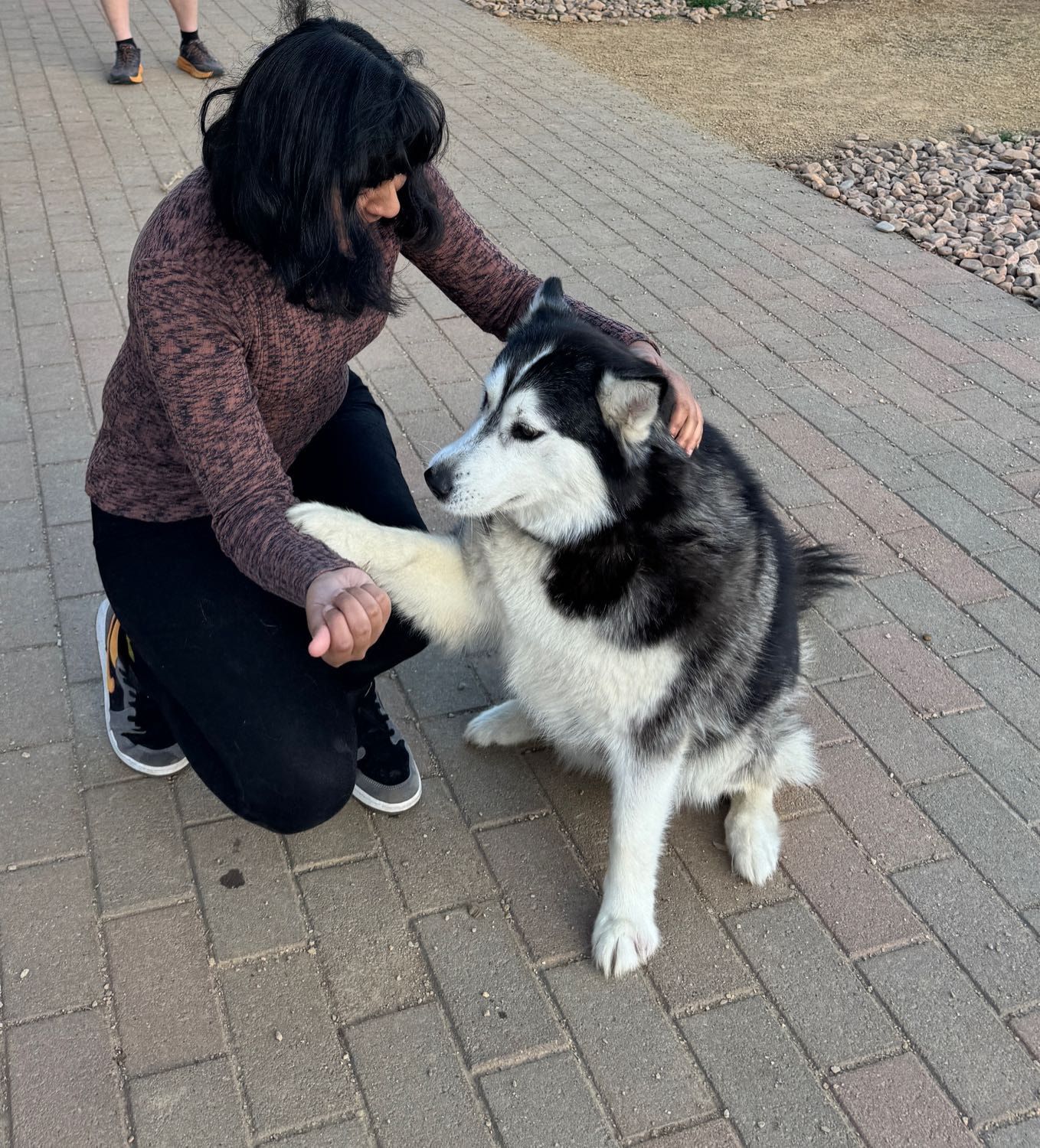 image-16