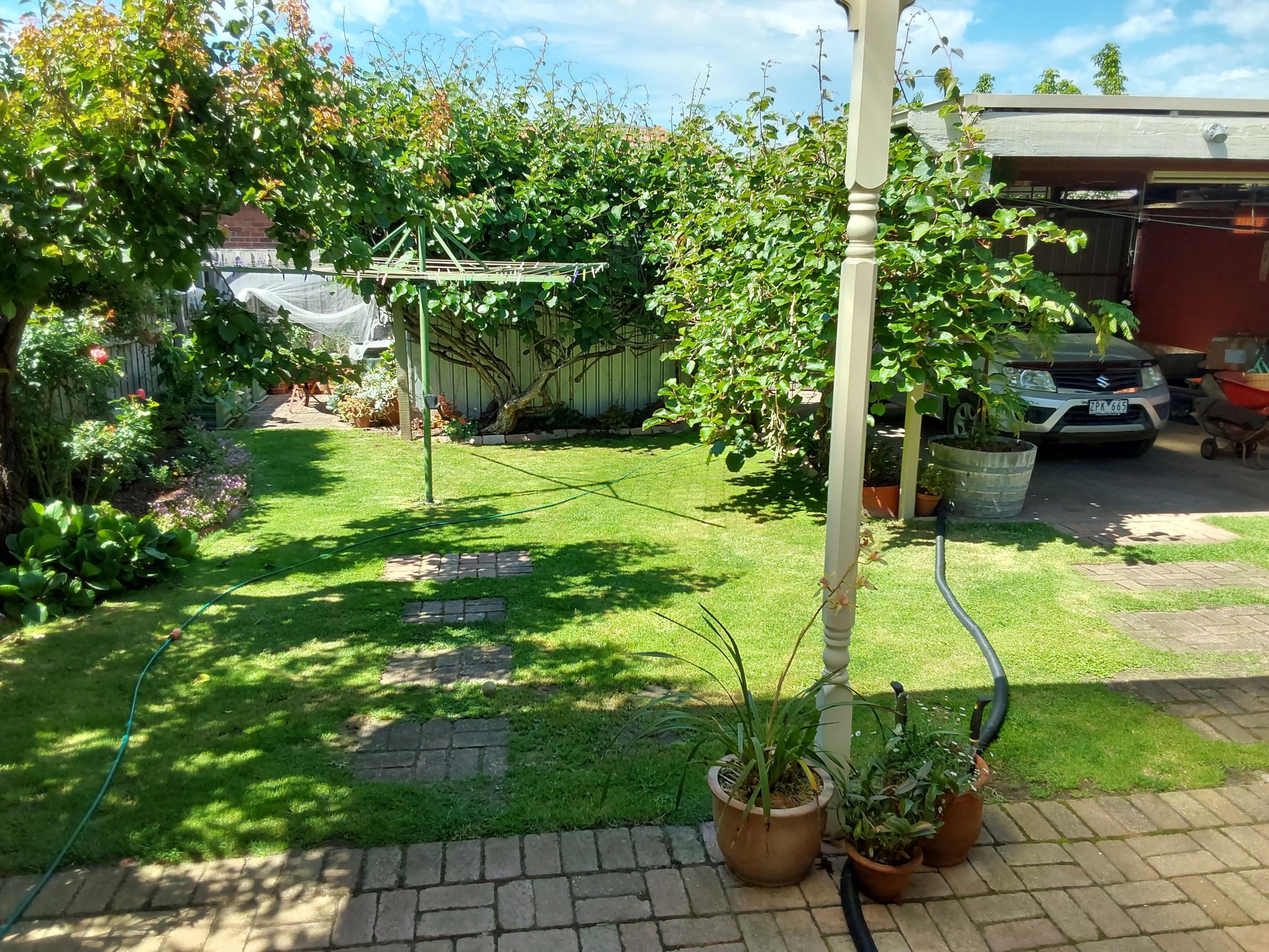 image-3