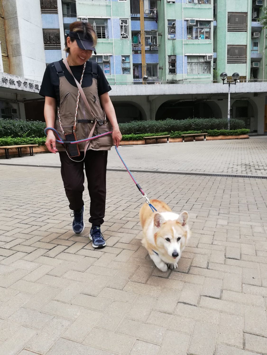 image-4