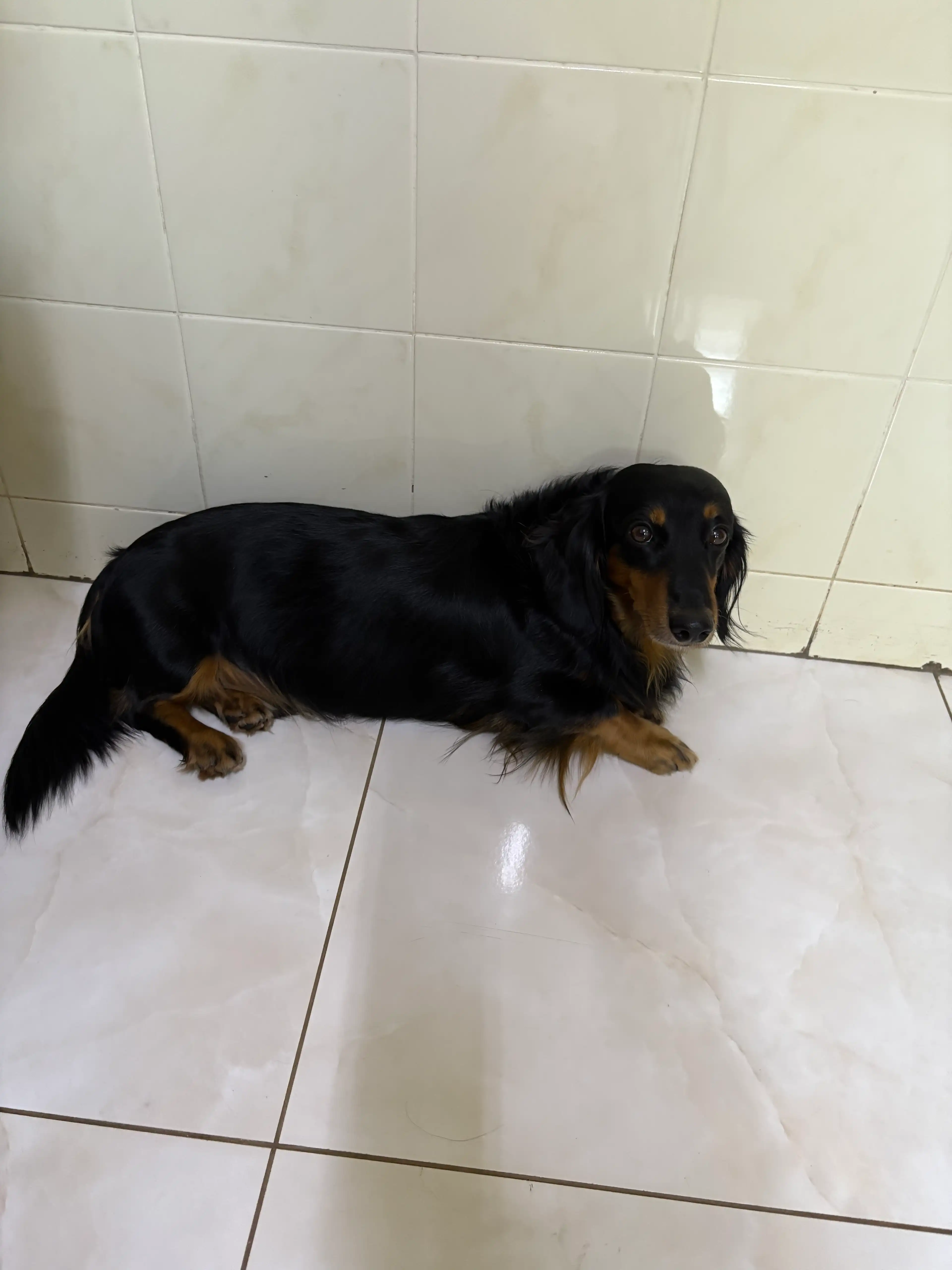 image-9