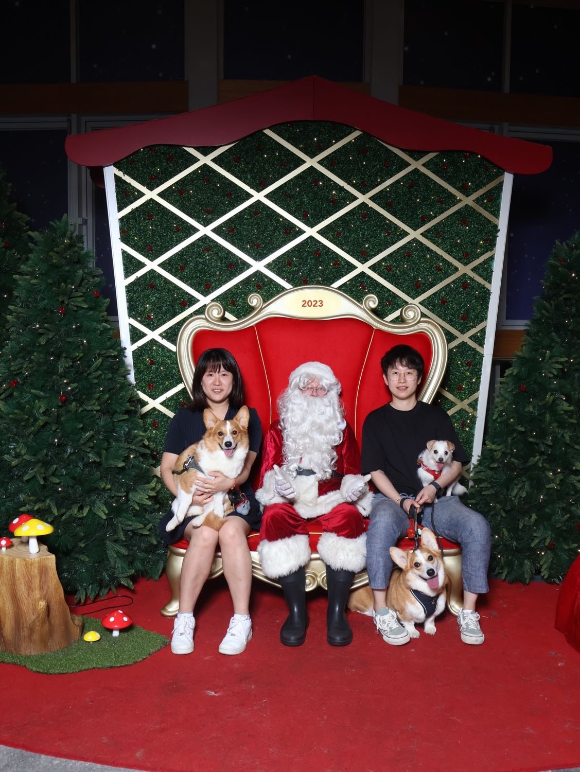image-4