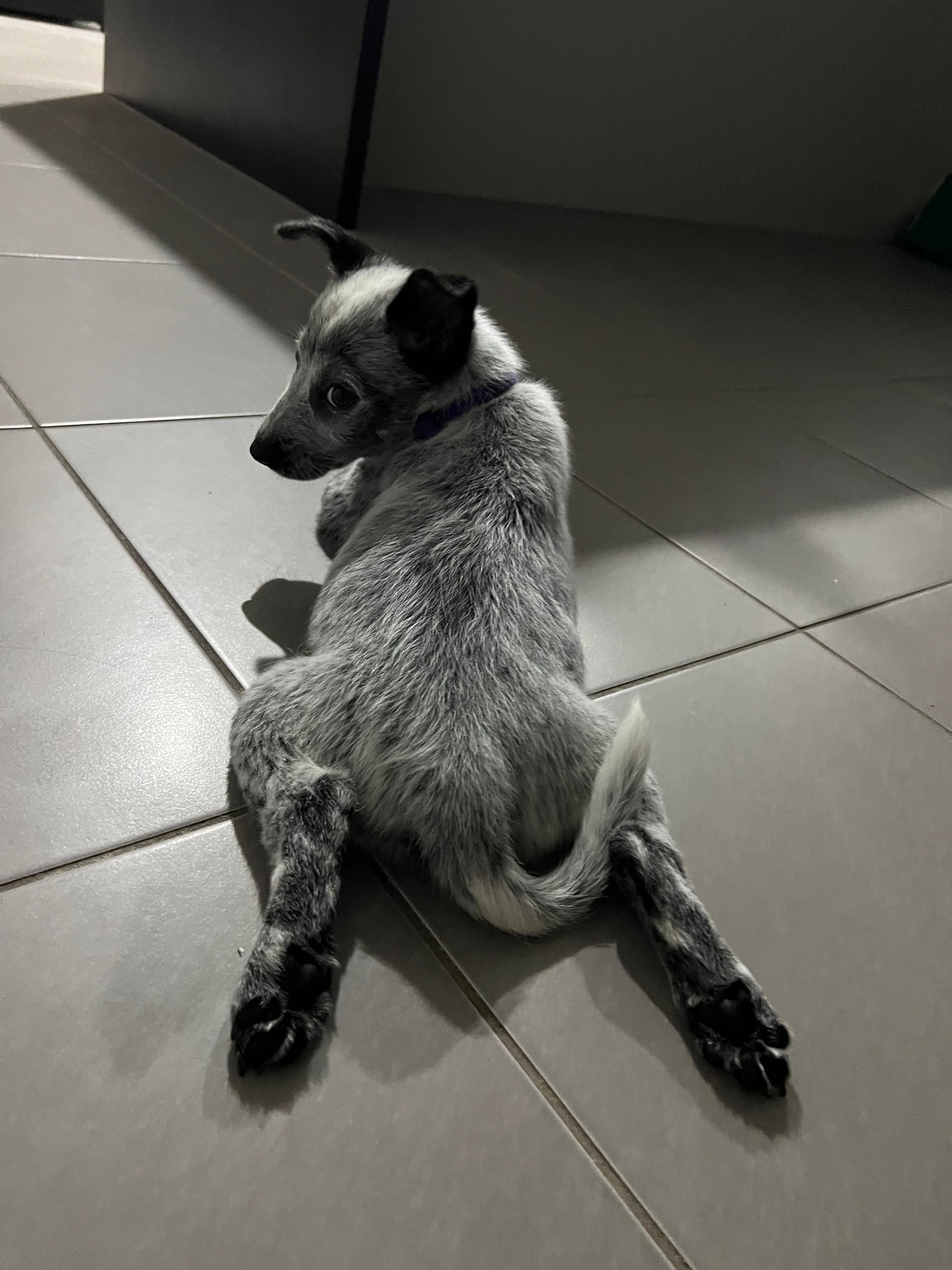 image-9