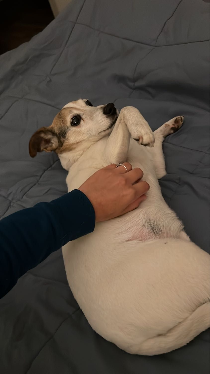 image-6