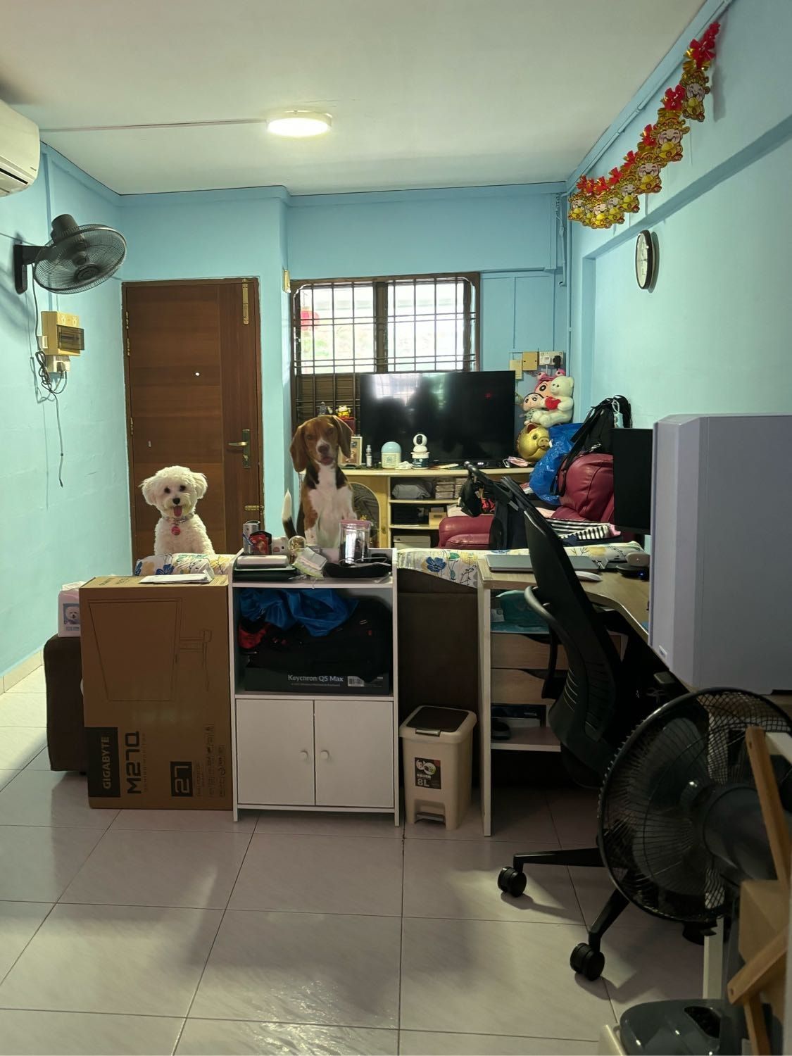 image-34