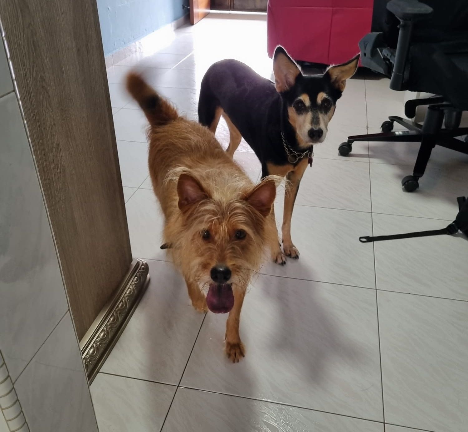 image-9