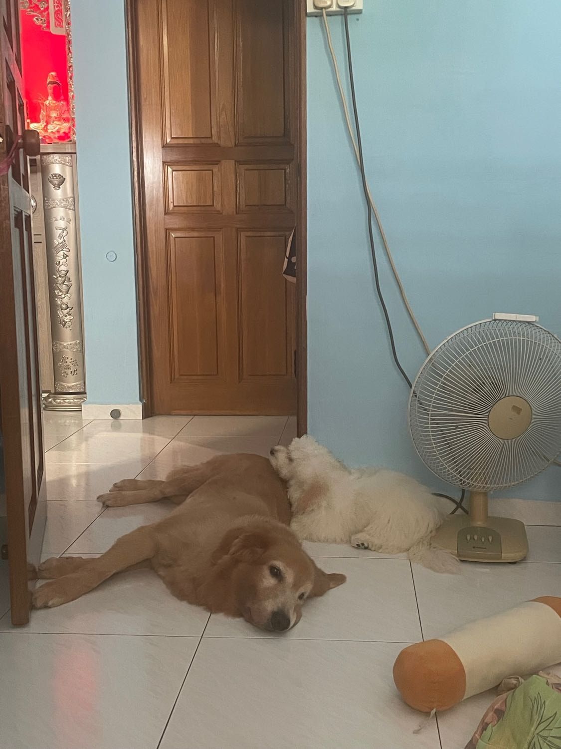 image-6