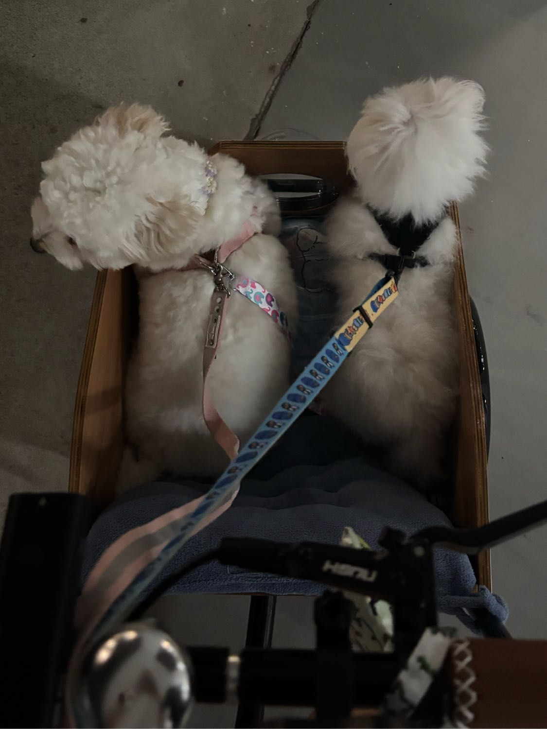 image-41