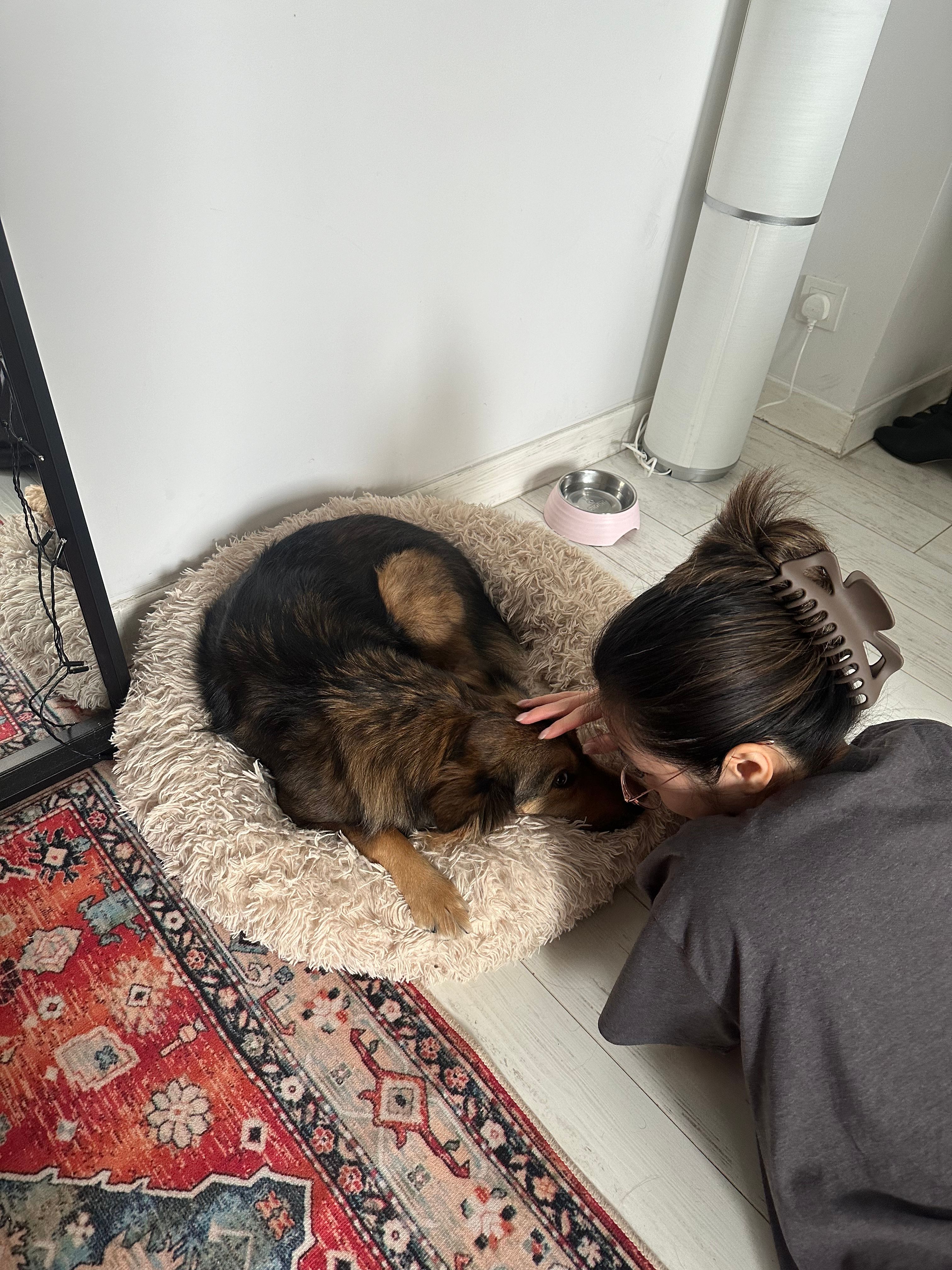 image-10