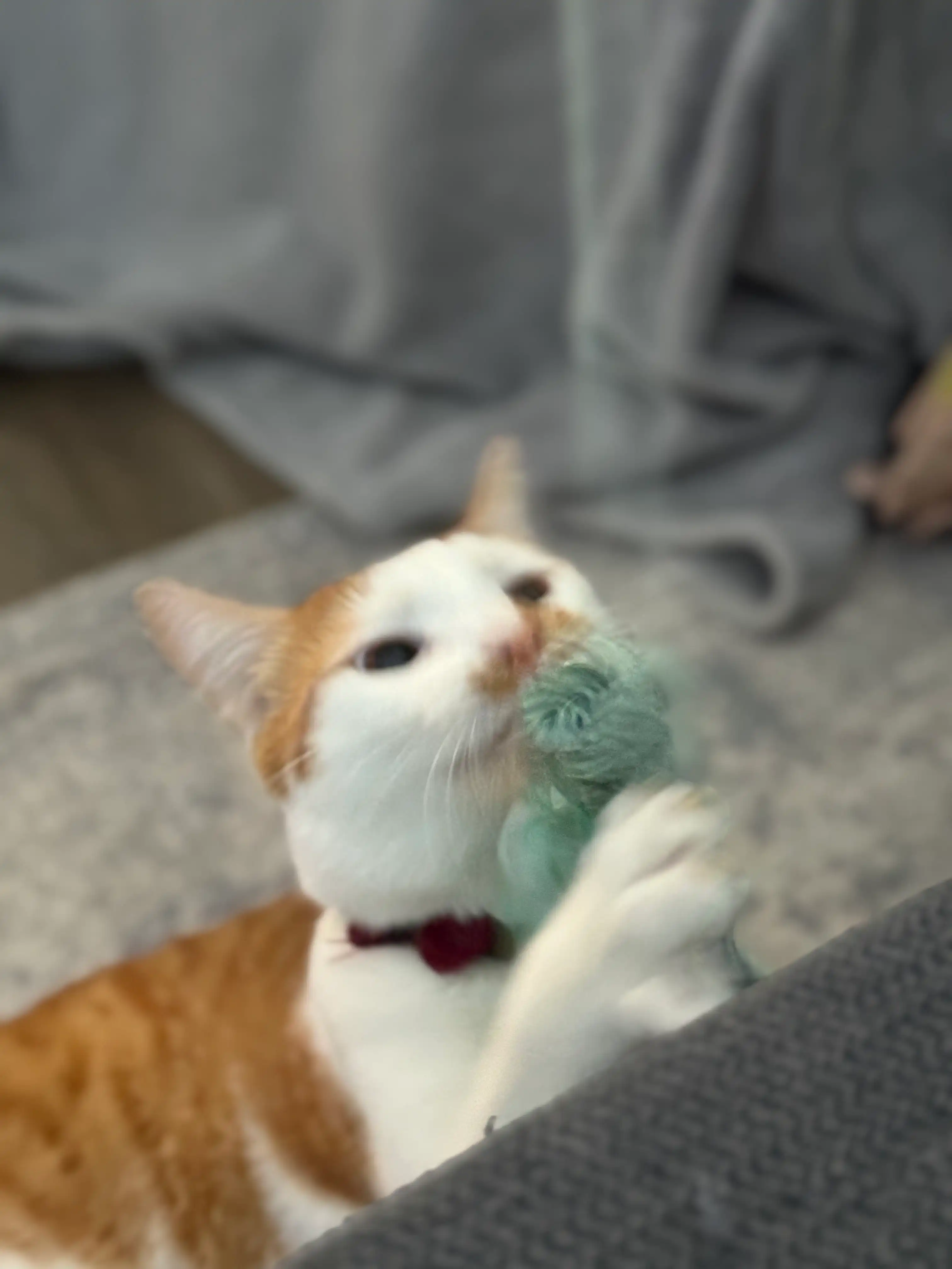 image-6