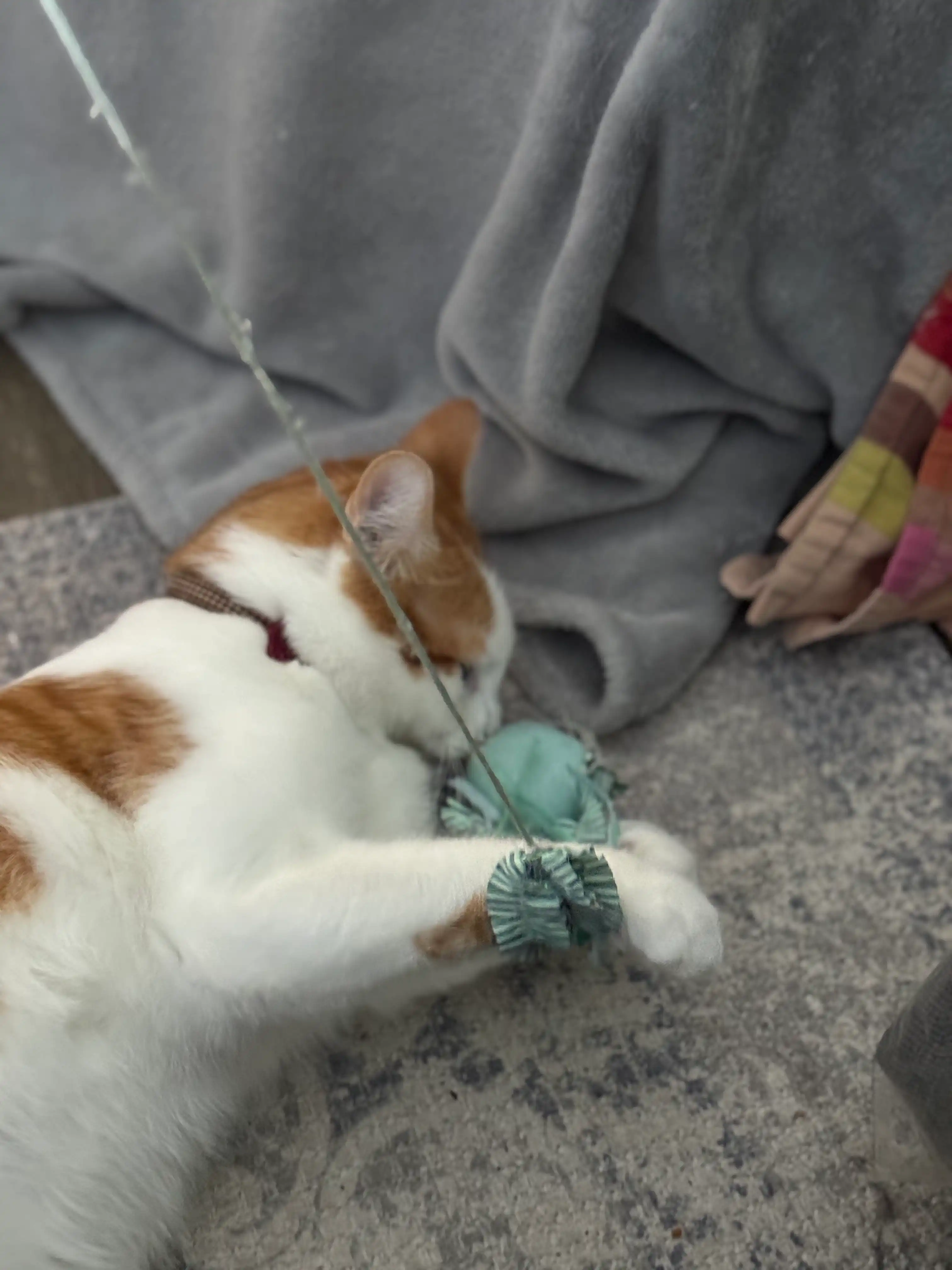 image-7