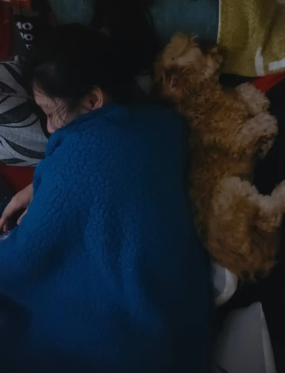 image-8