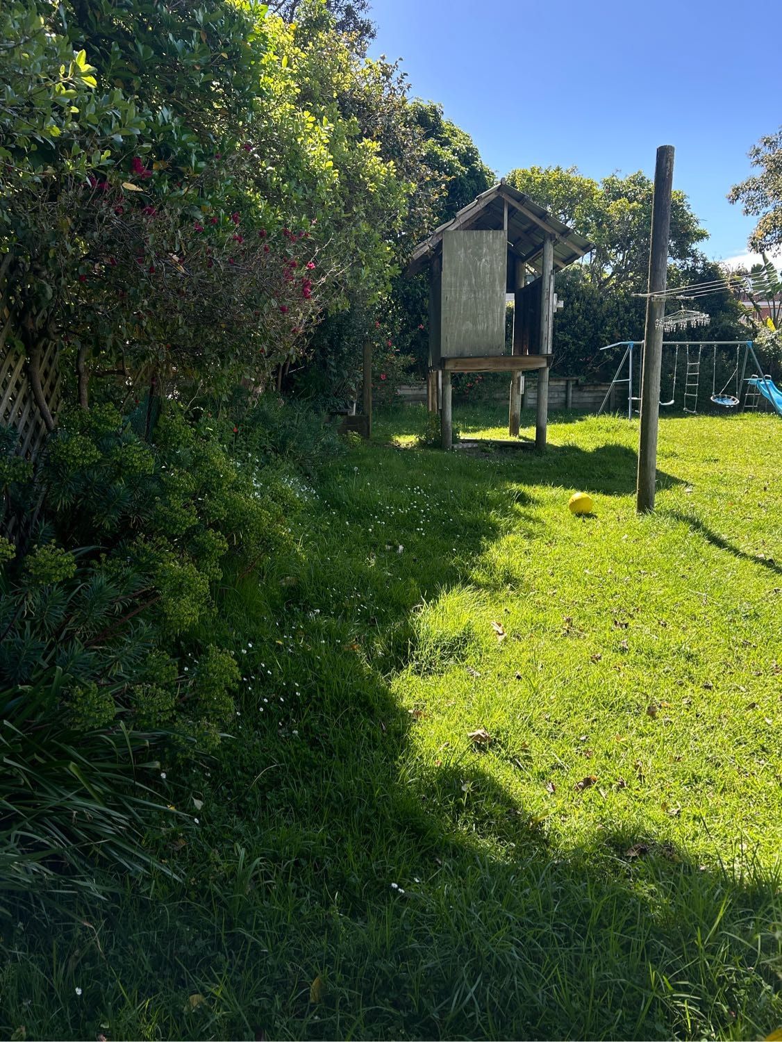 image-7