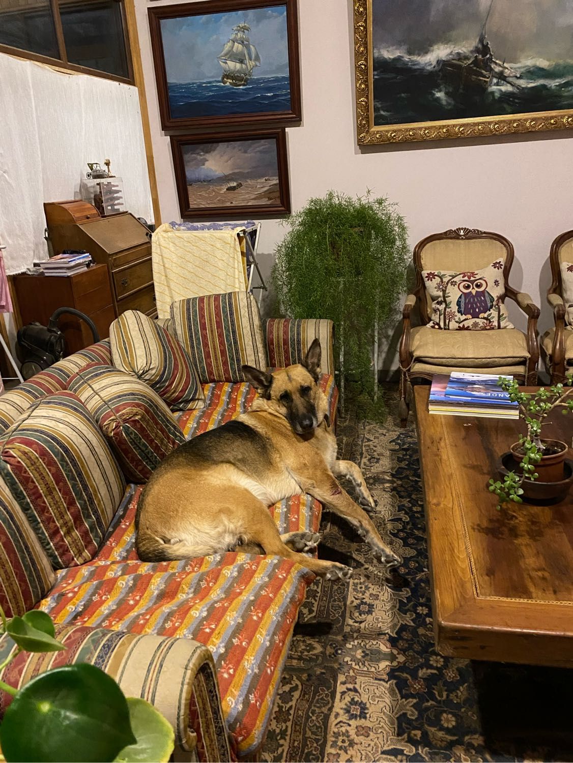 image-15