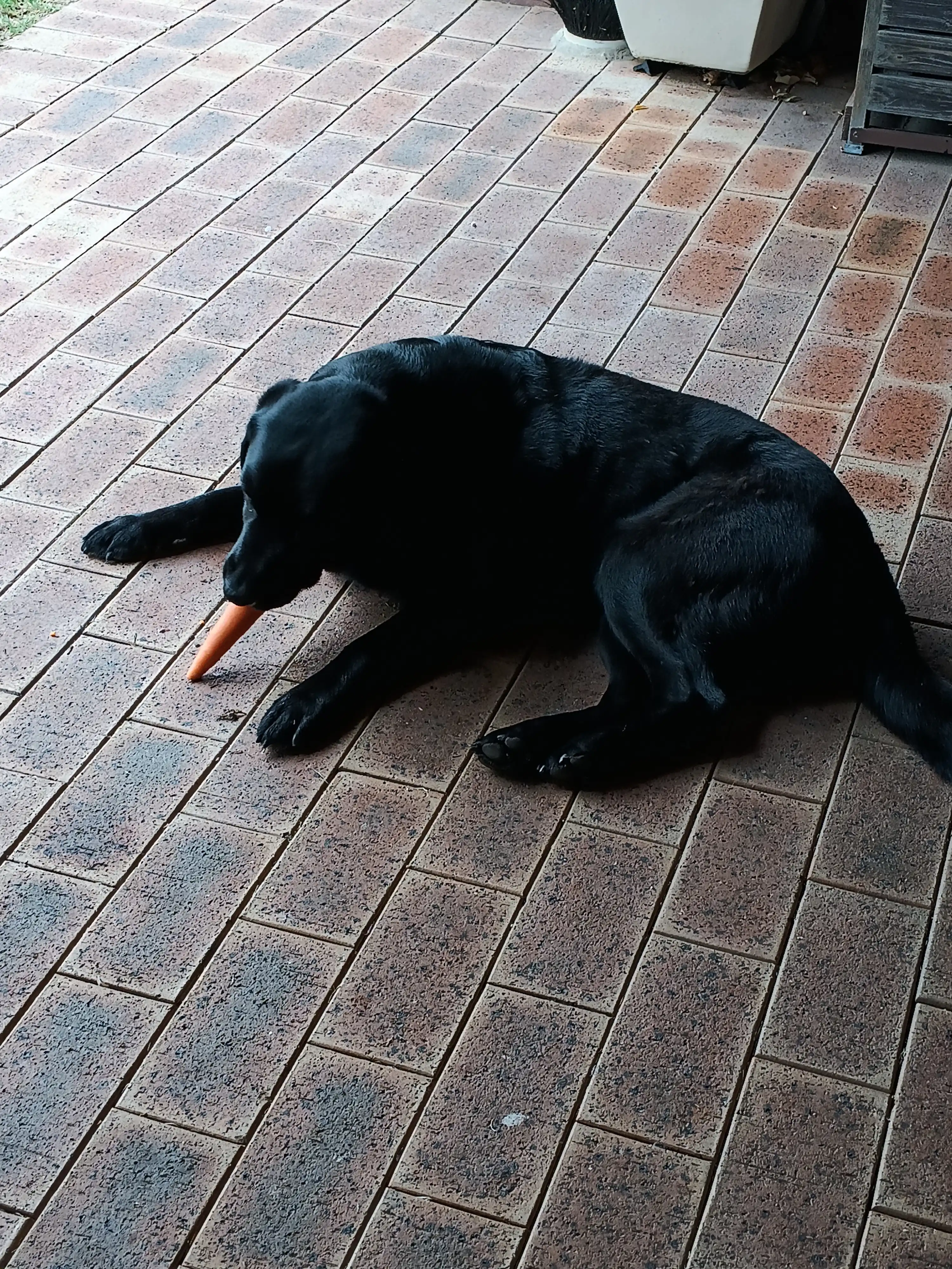image-5