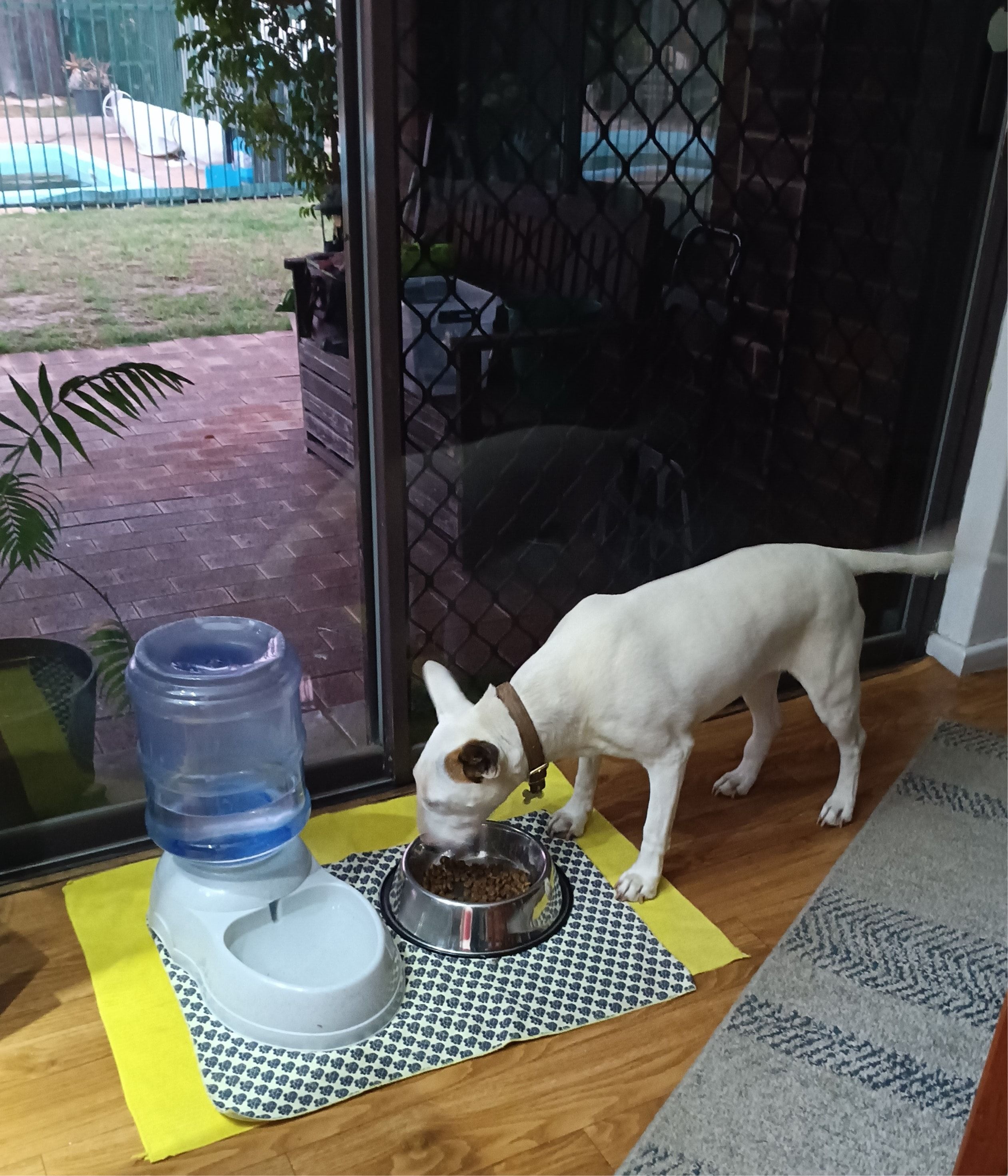 image-28