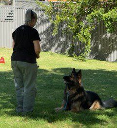 image-59