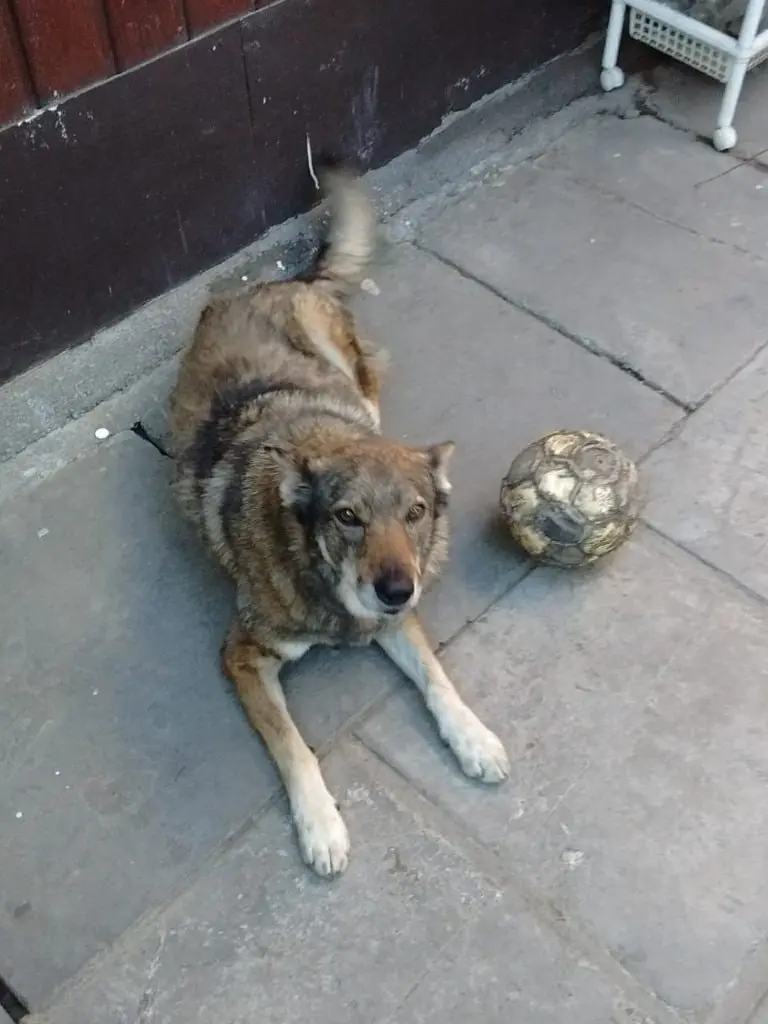image-4