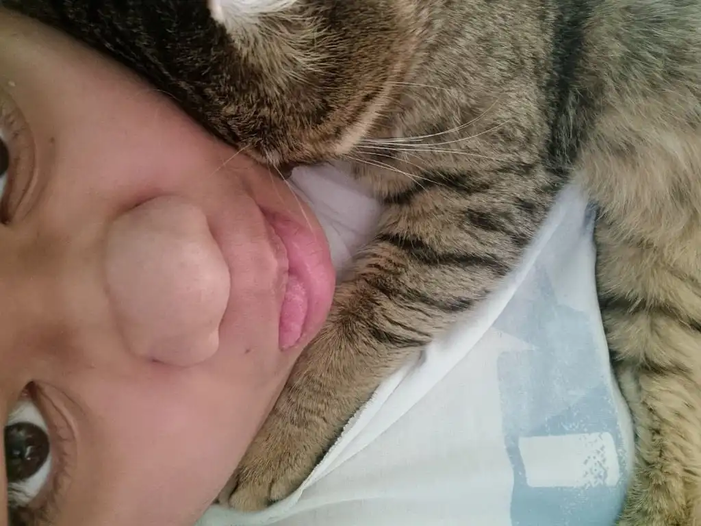 image-5