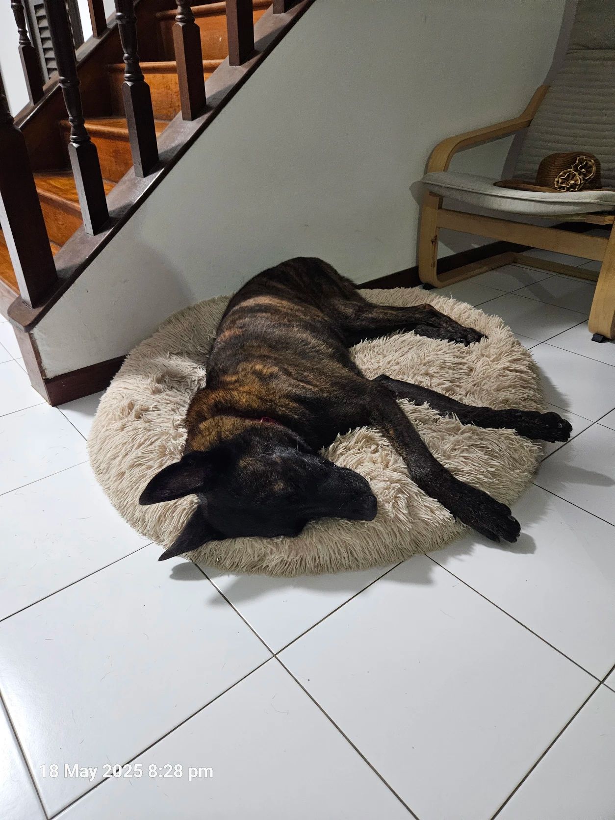 image-16