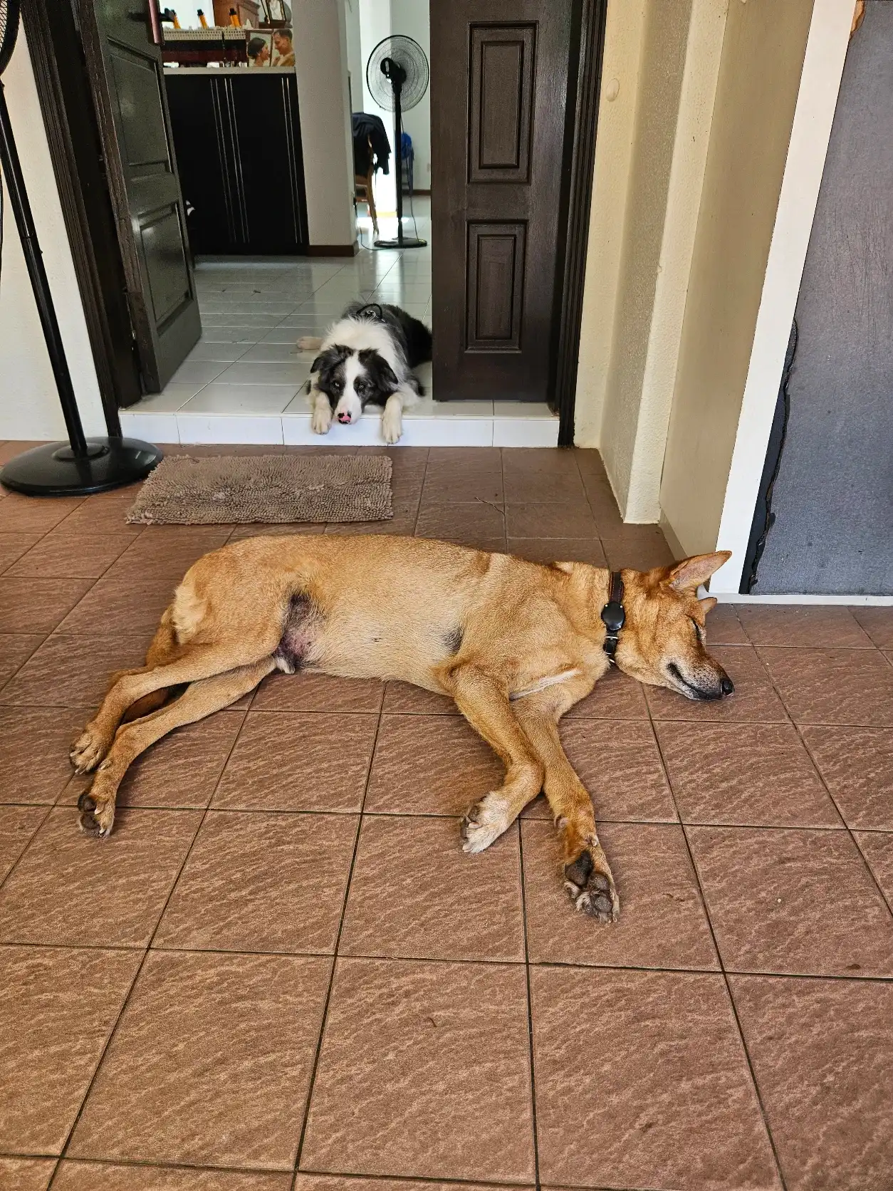 image-17