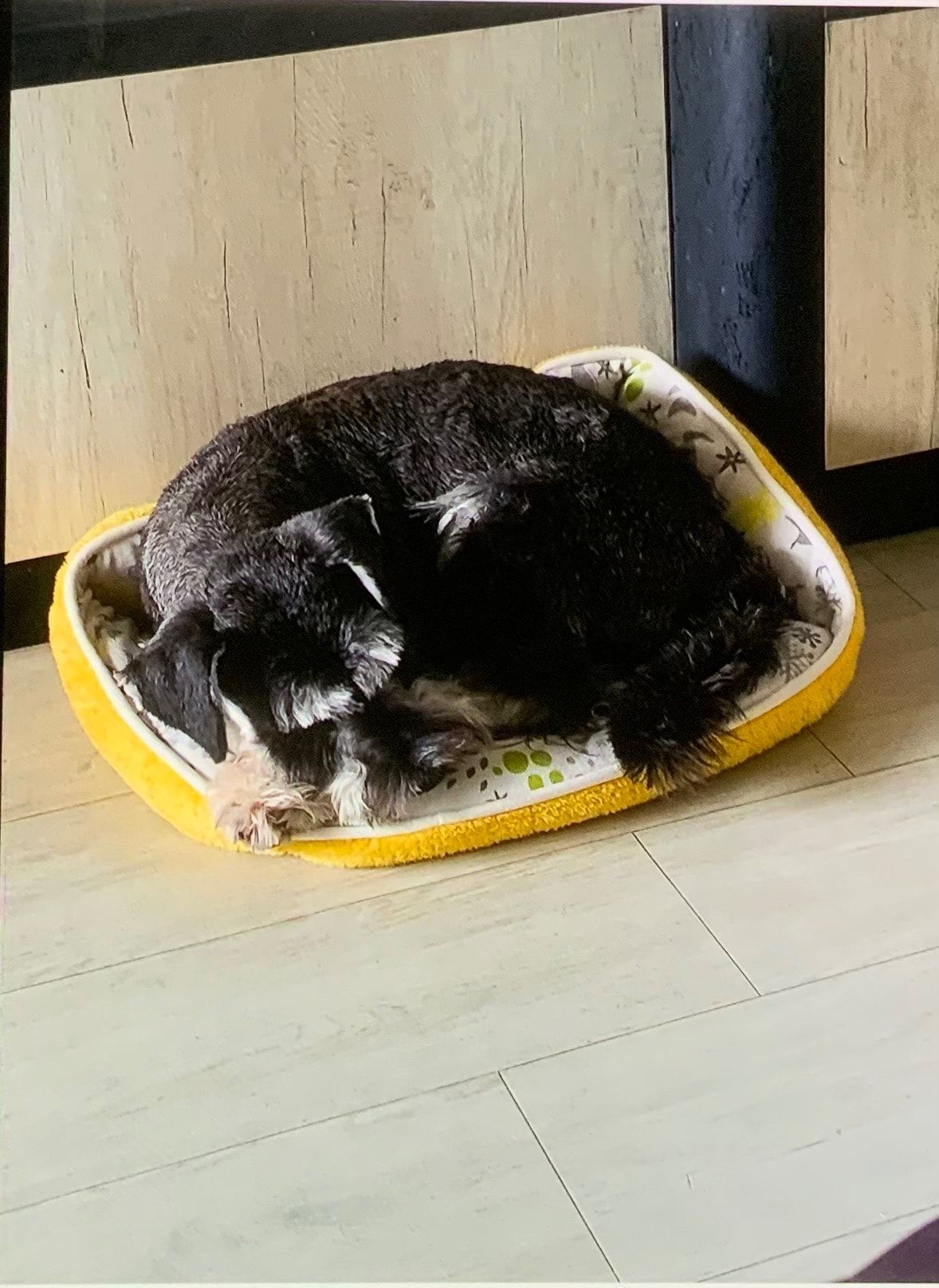 image-4
