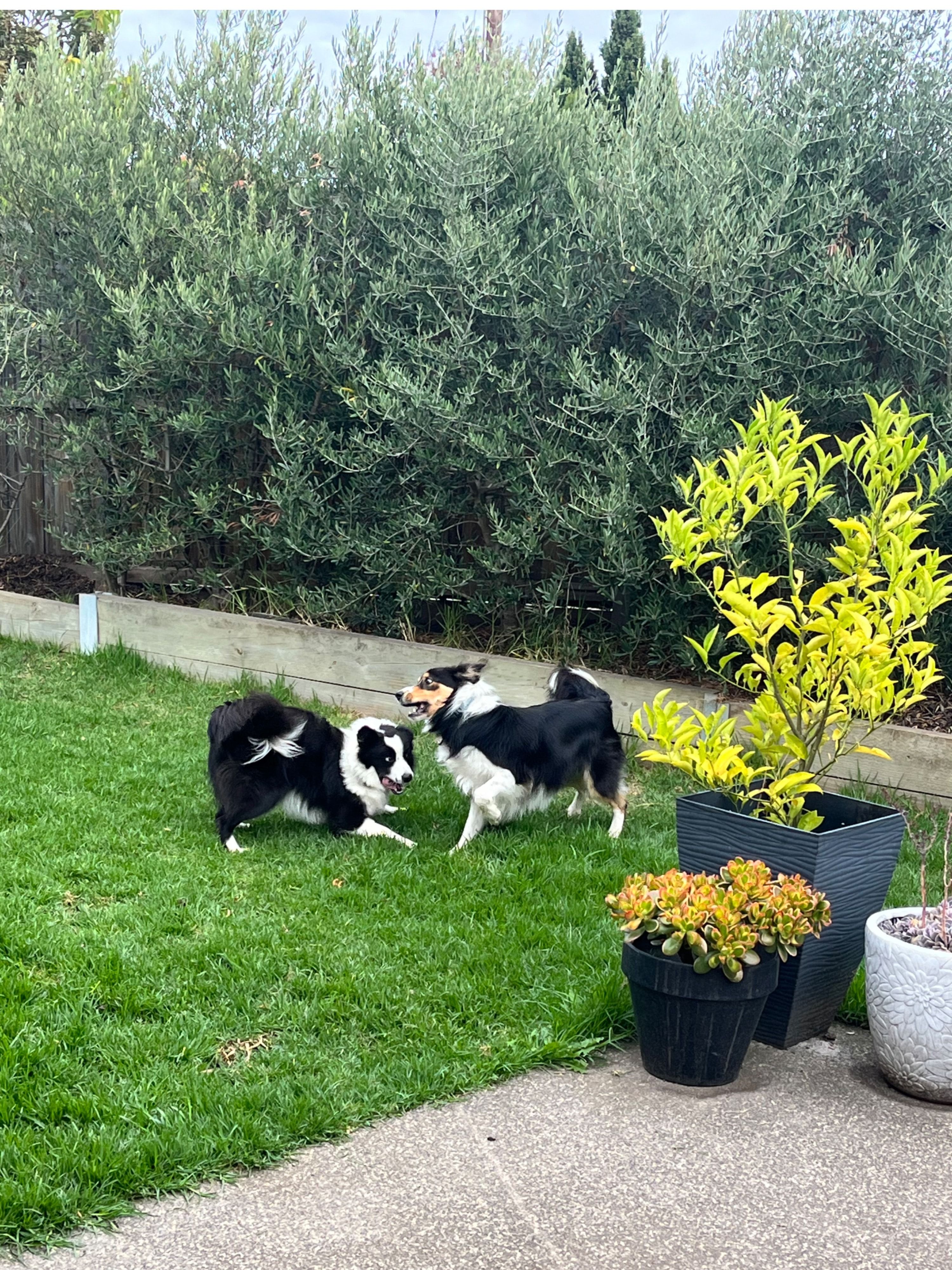 image-13