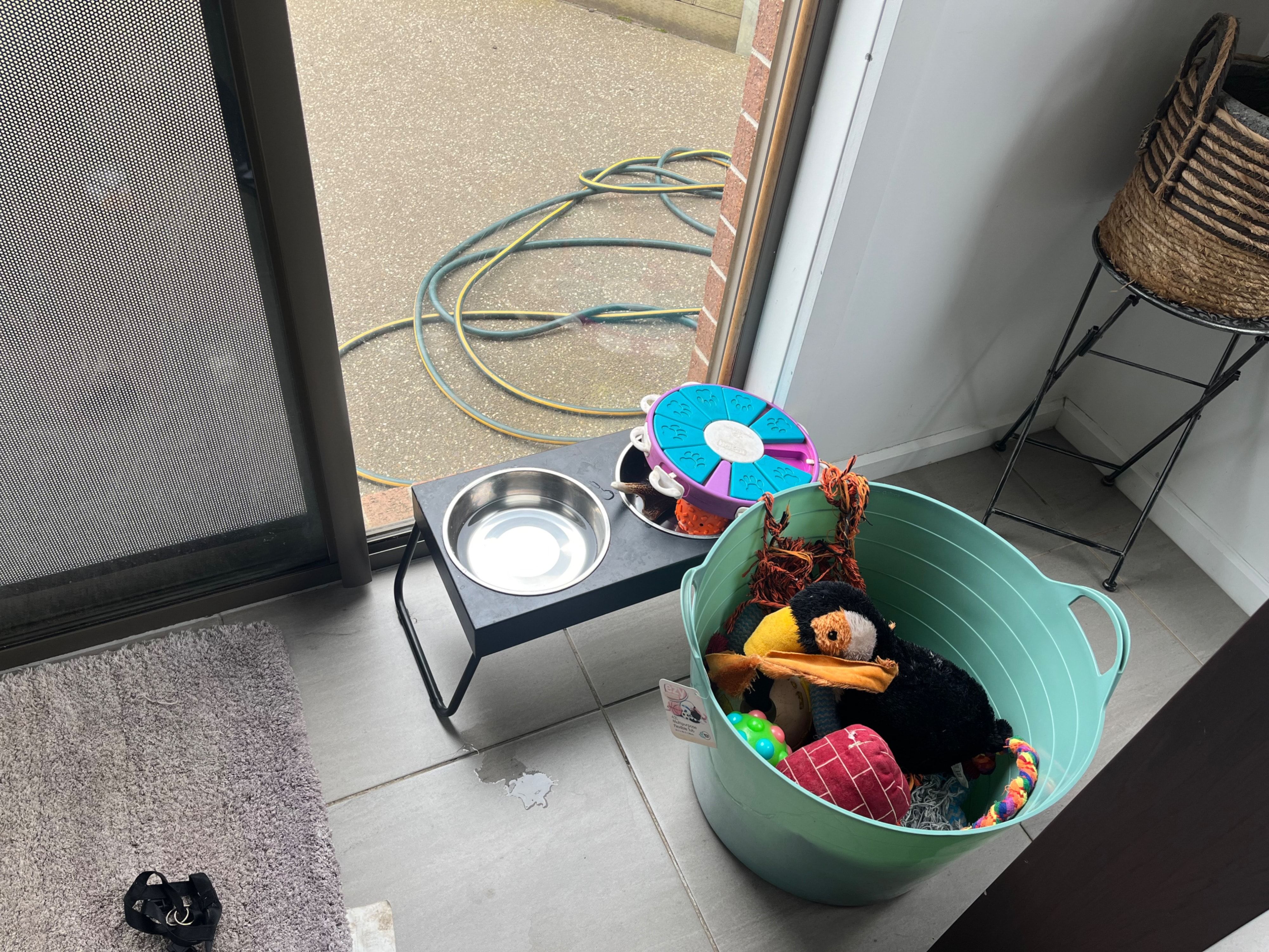 image-11