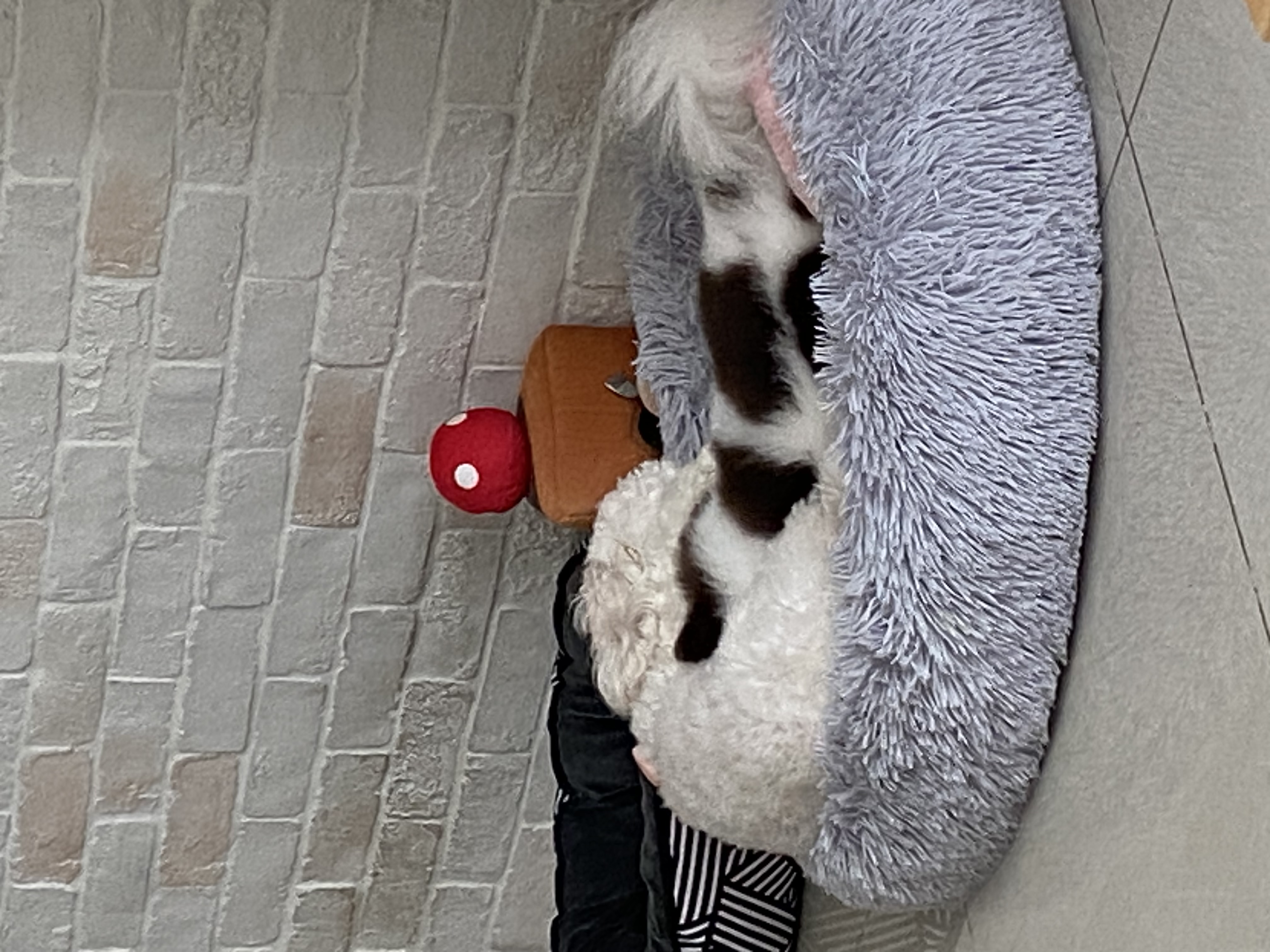 image-14