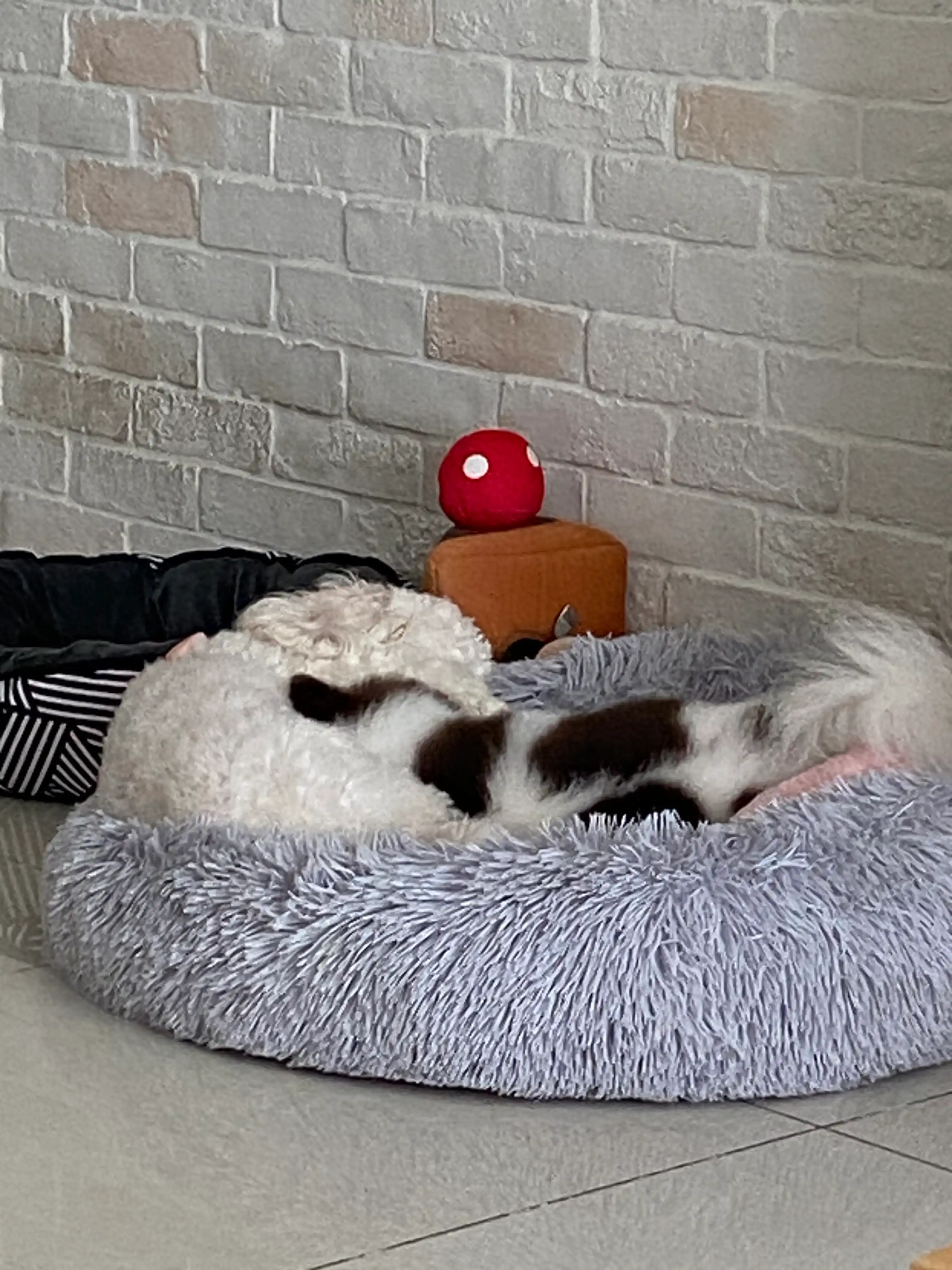 image-14