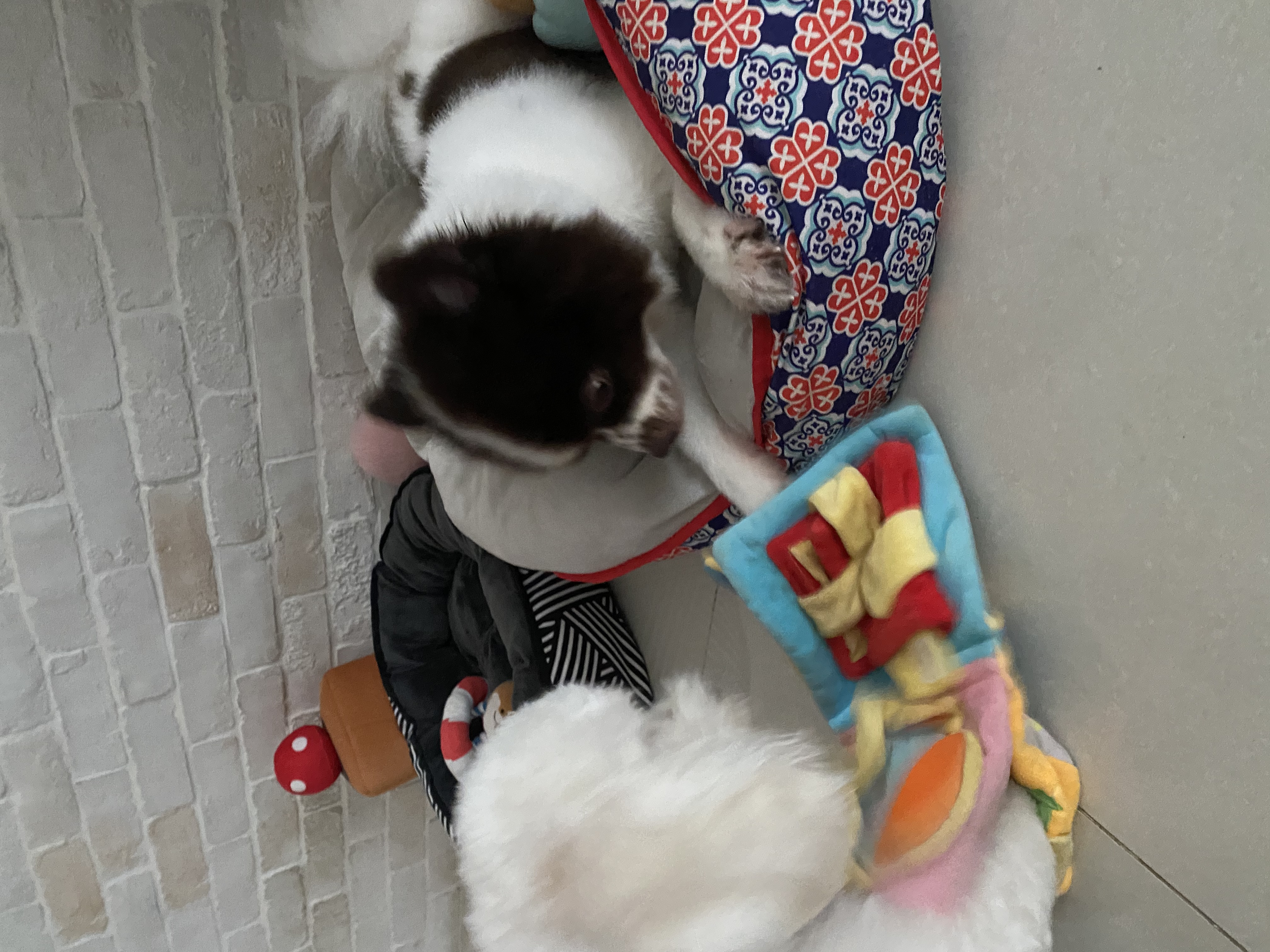 image-13