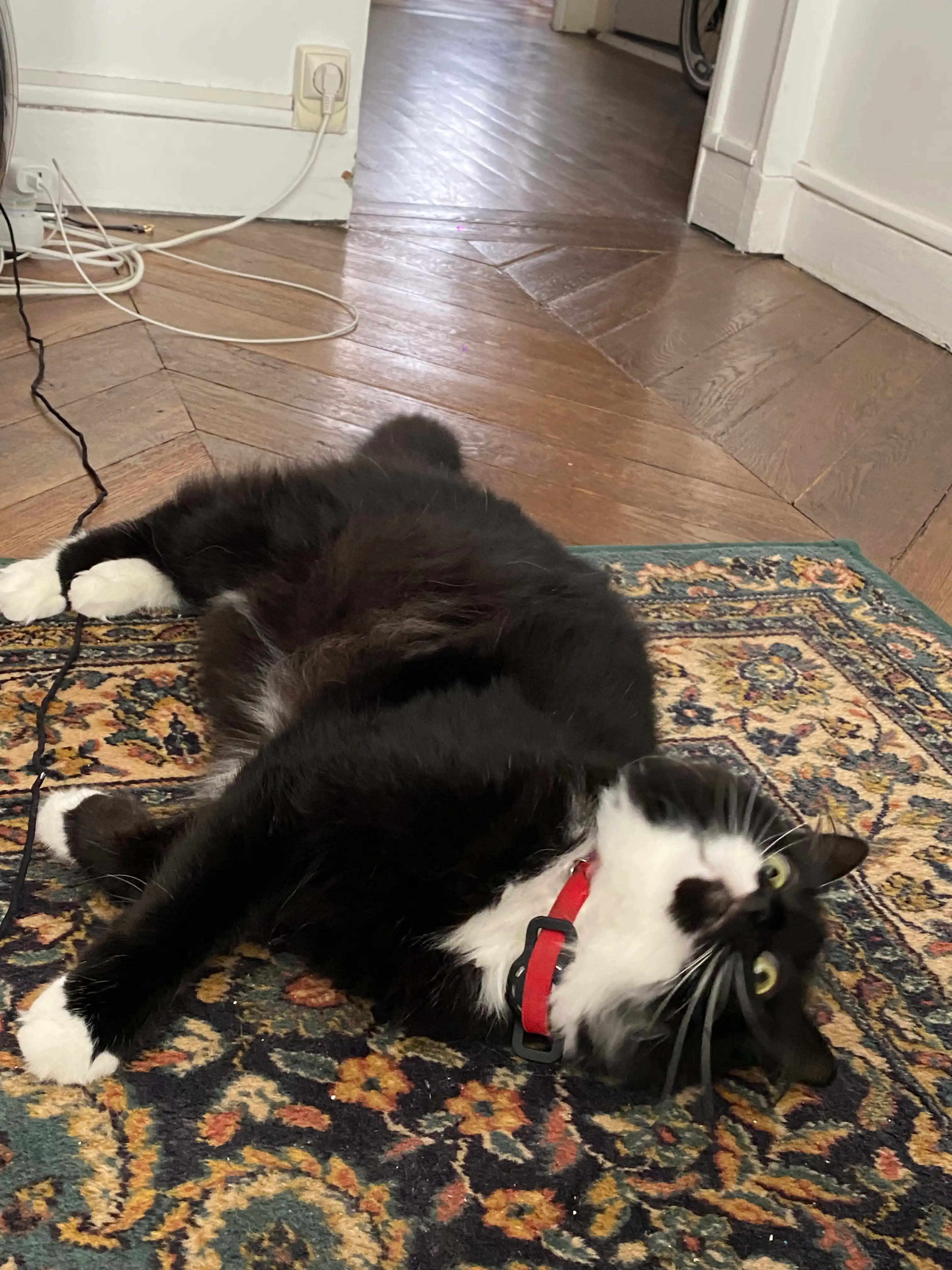 image-10