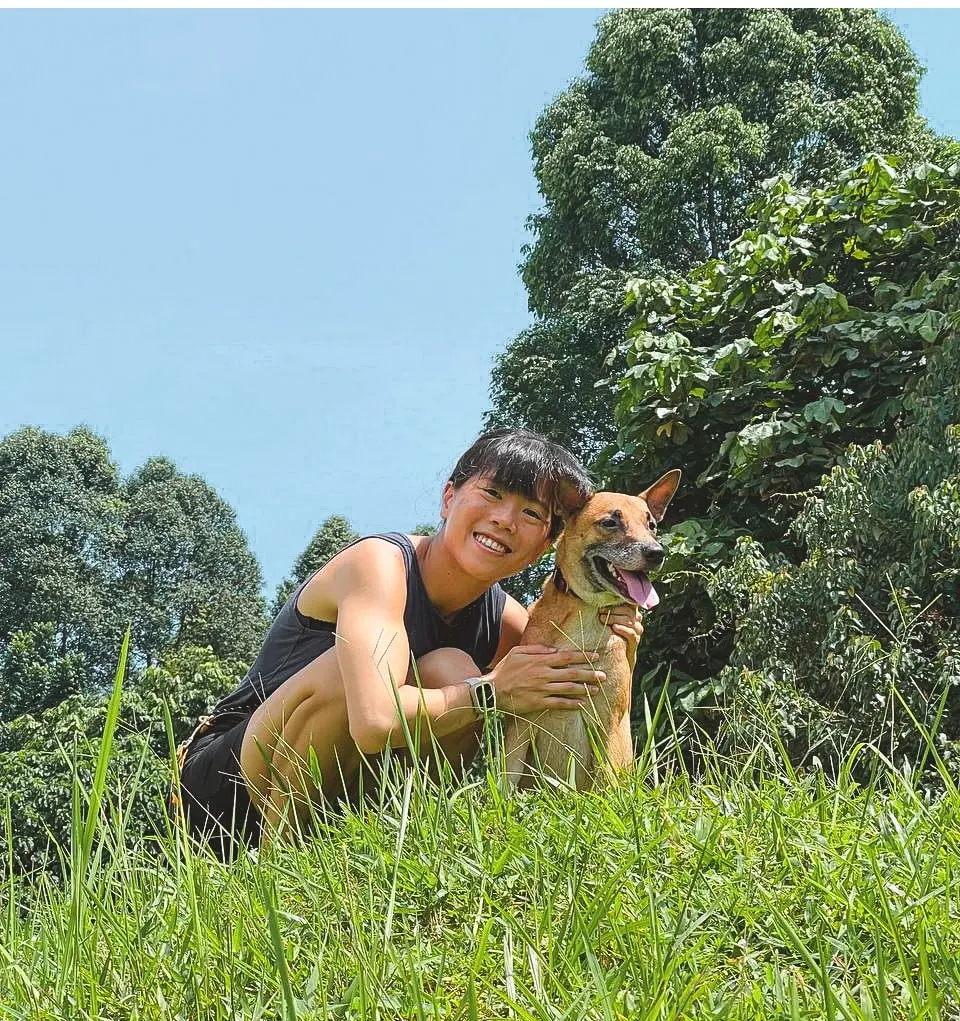 image-3