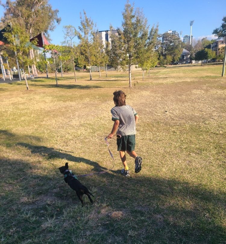 image-12