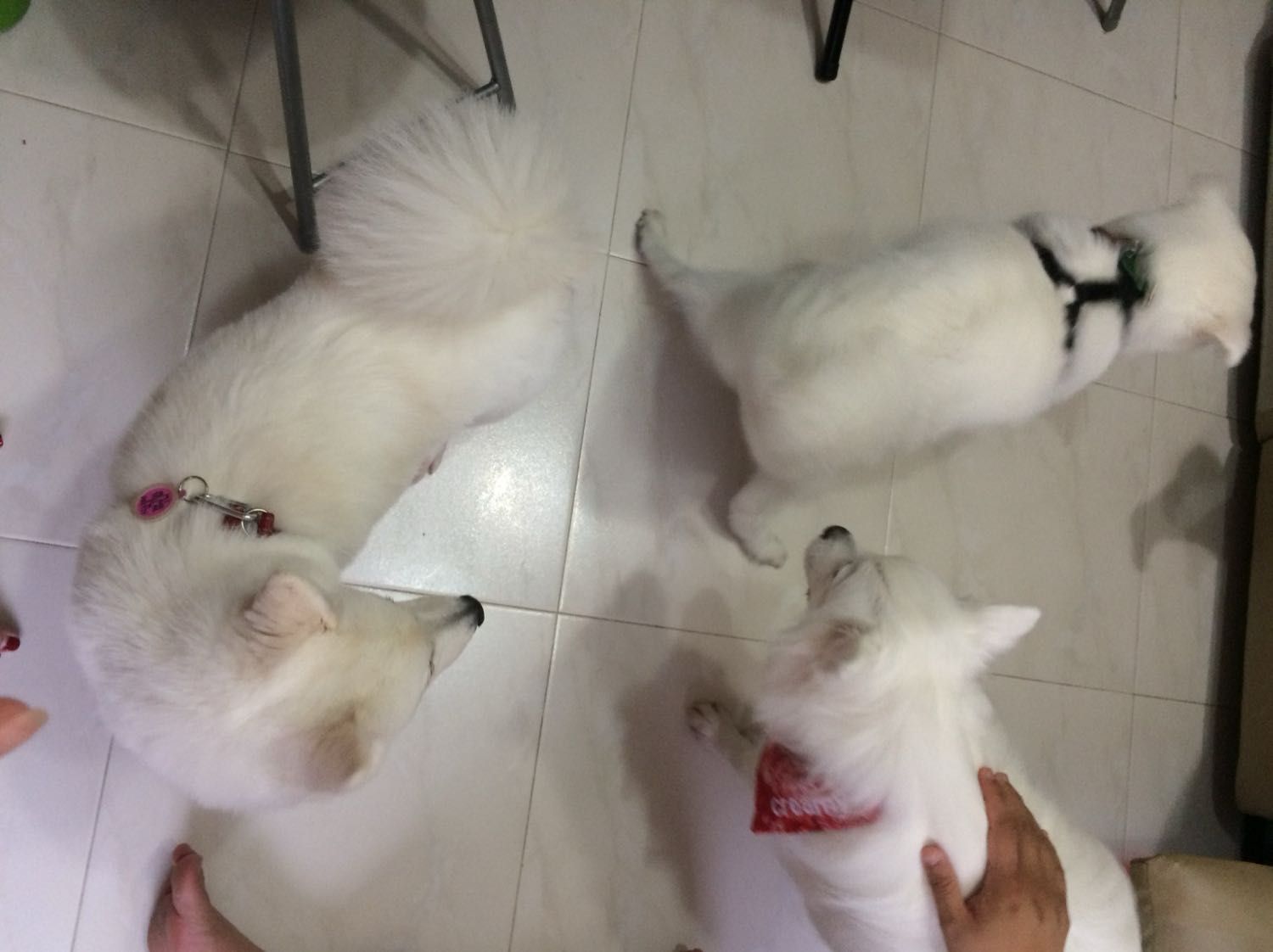 image-5