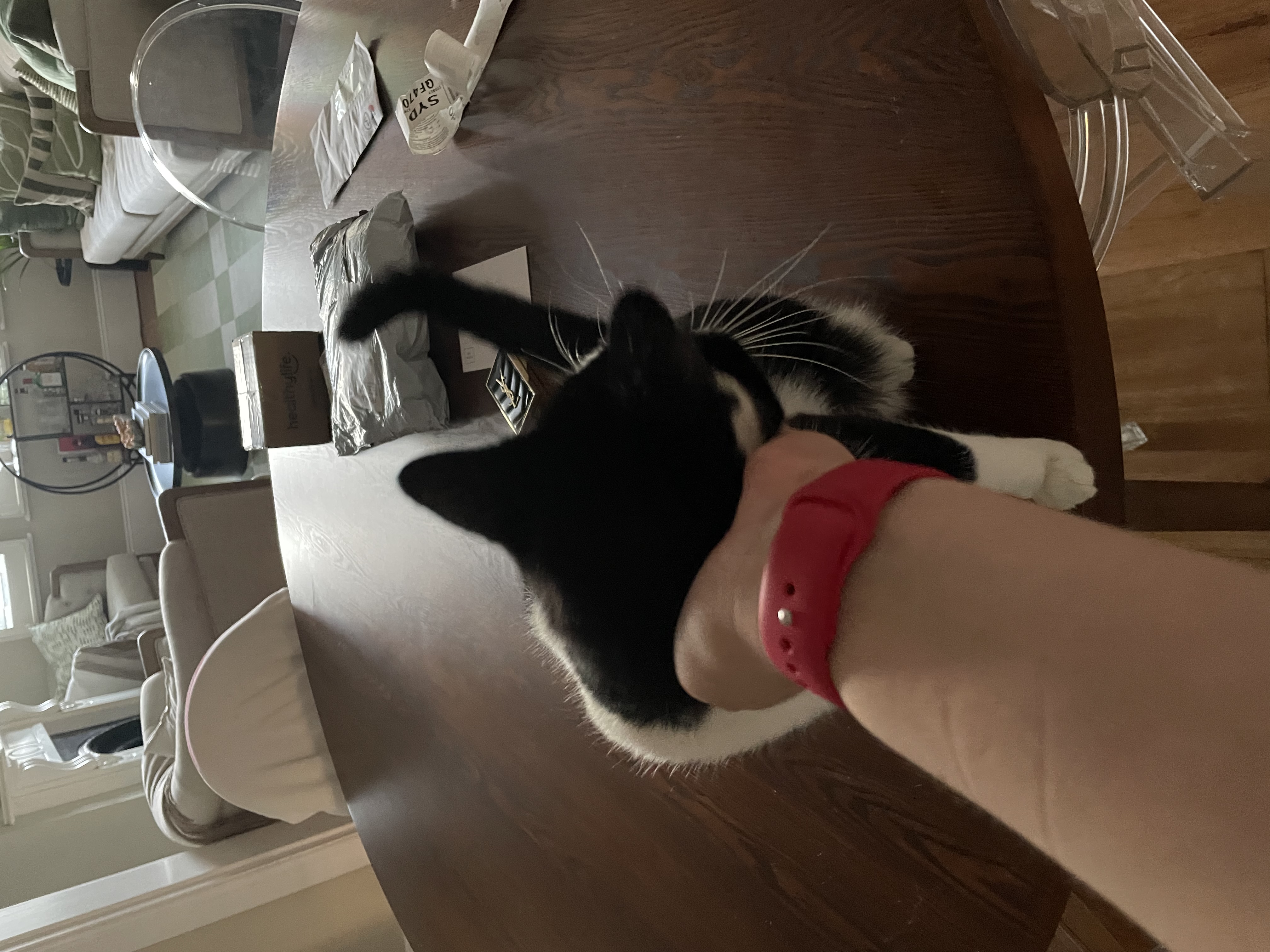 image-8