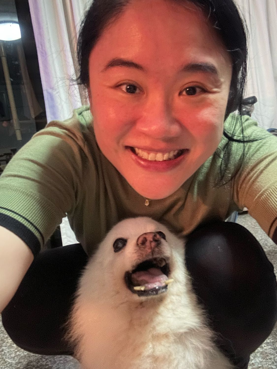 image-6