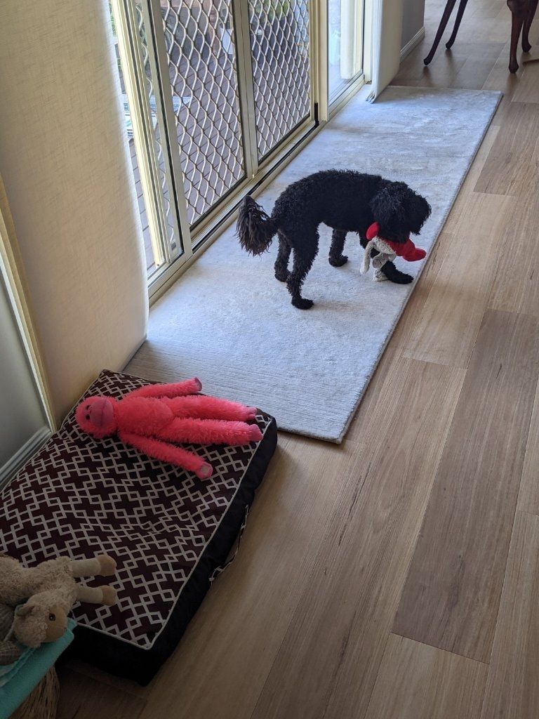 image-4