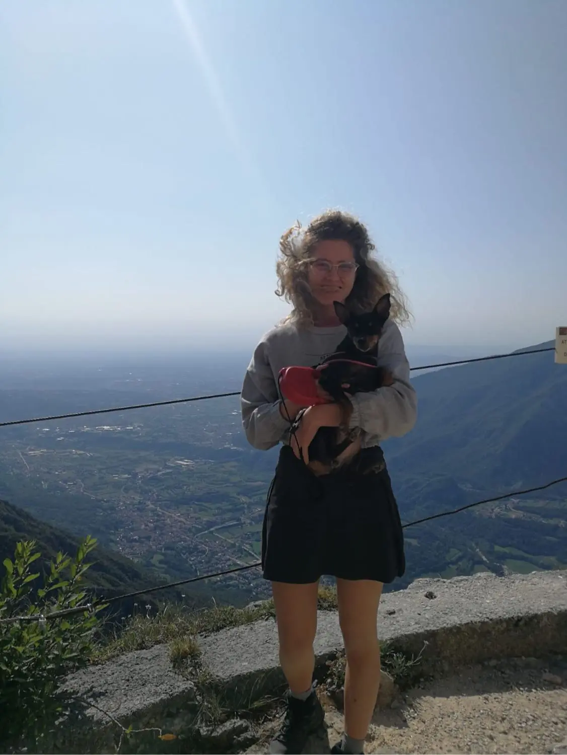 image-3