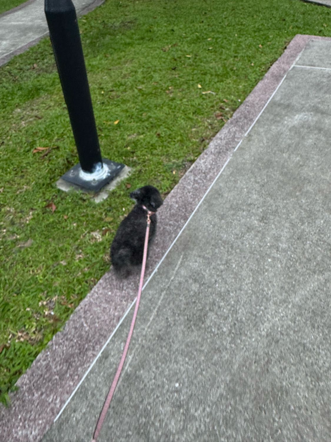 image-4