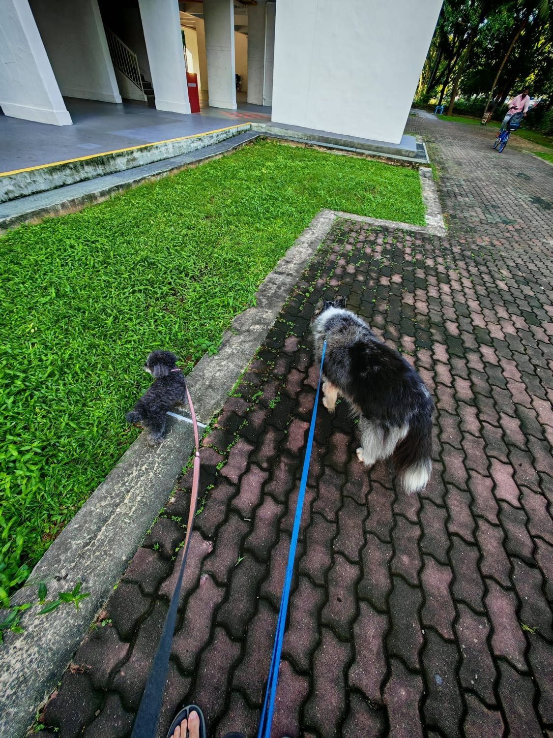 image-8