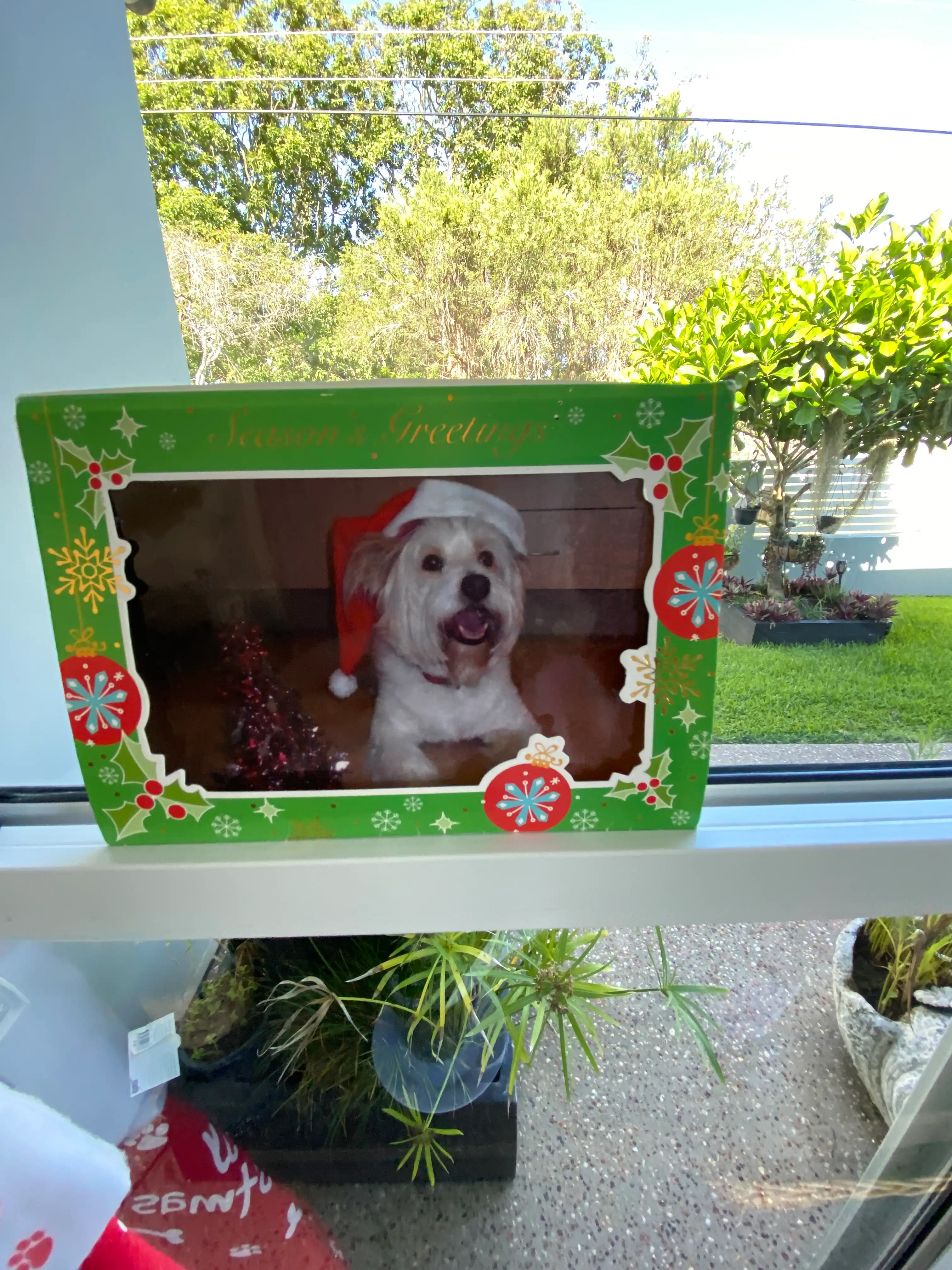 image-5