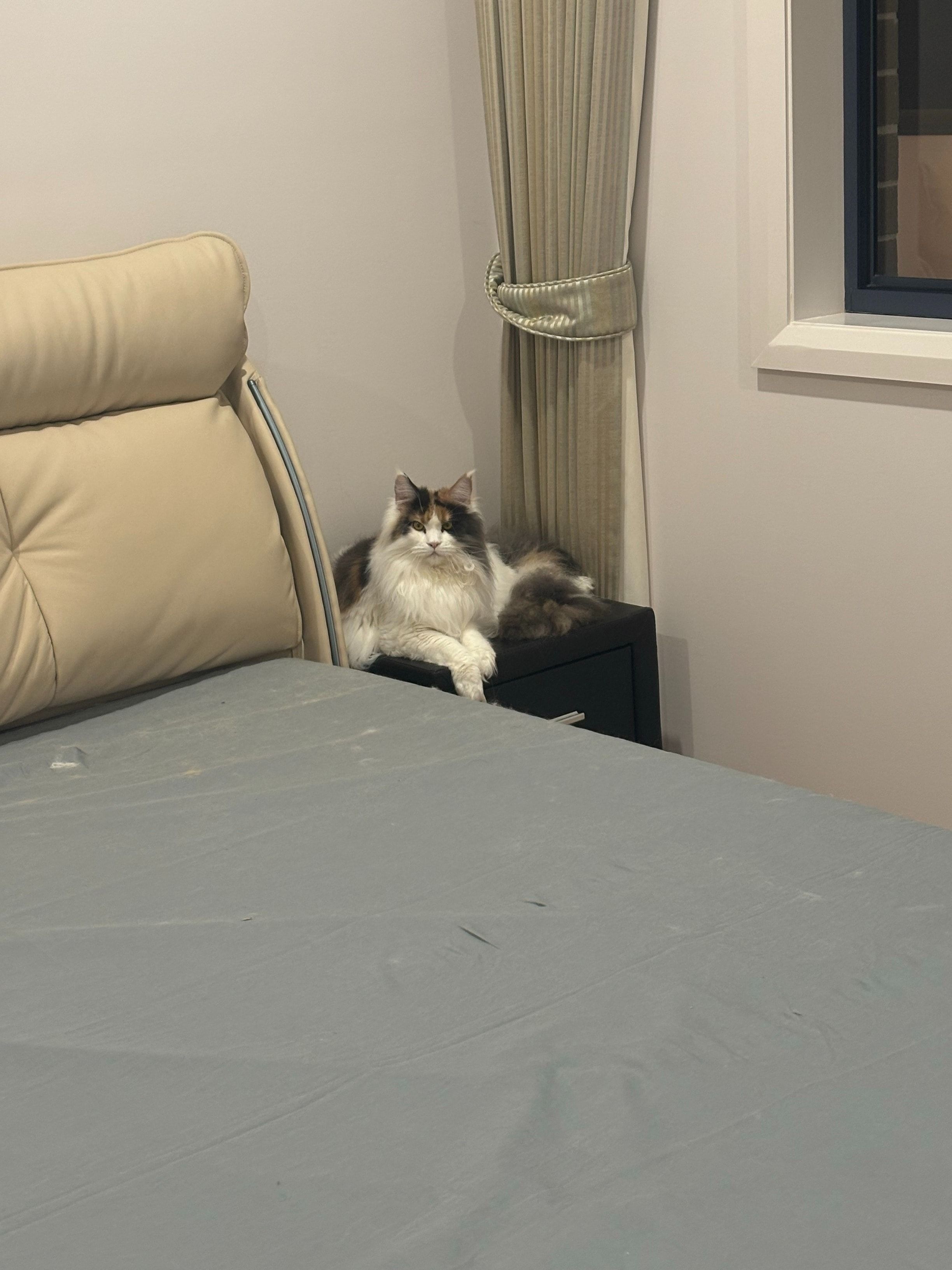 image-10