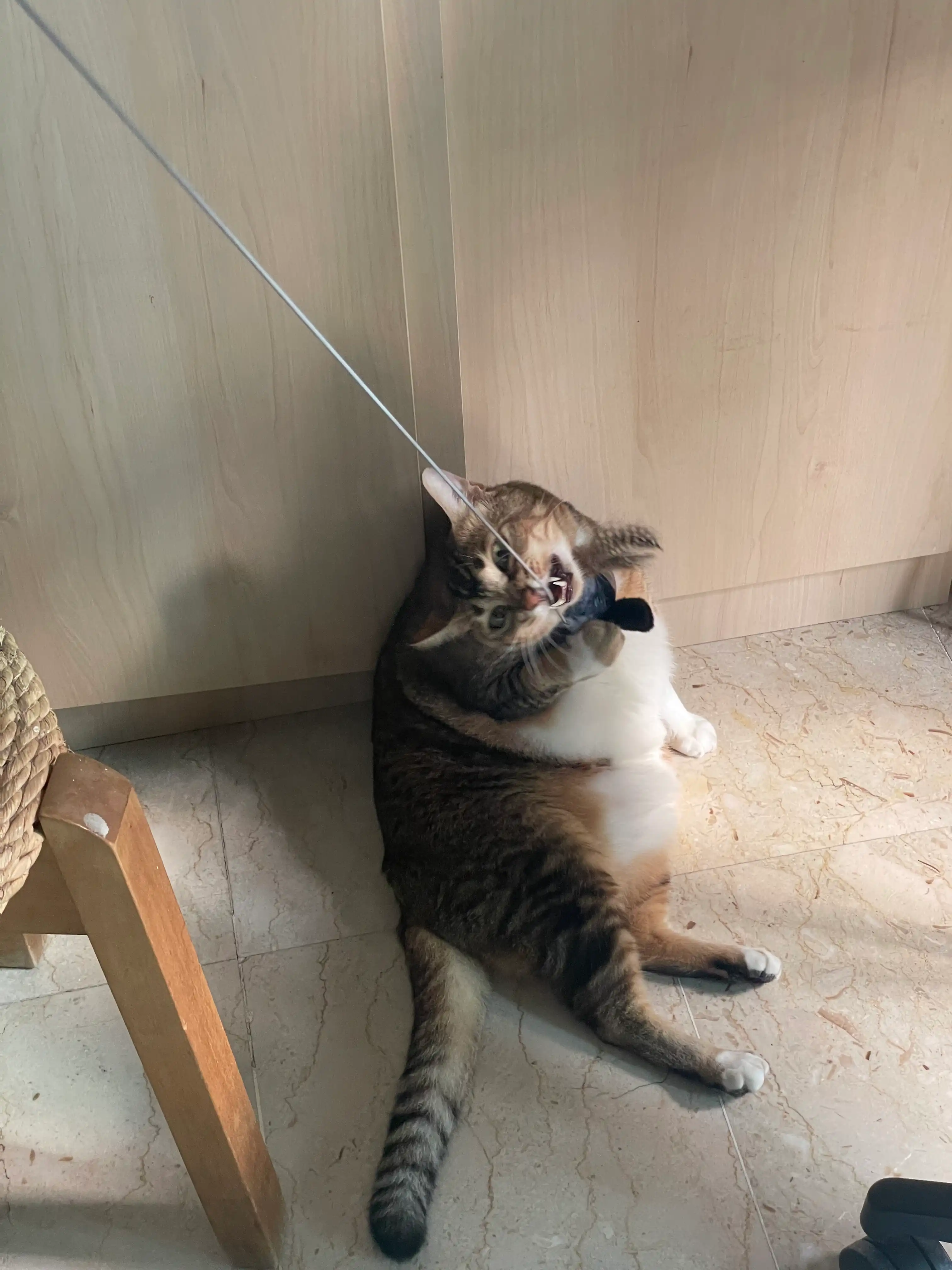 image-6