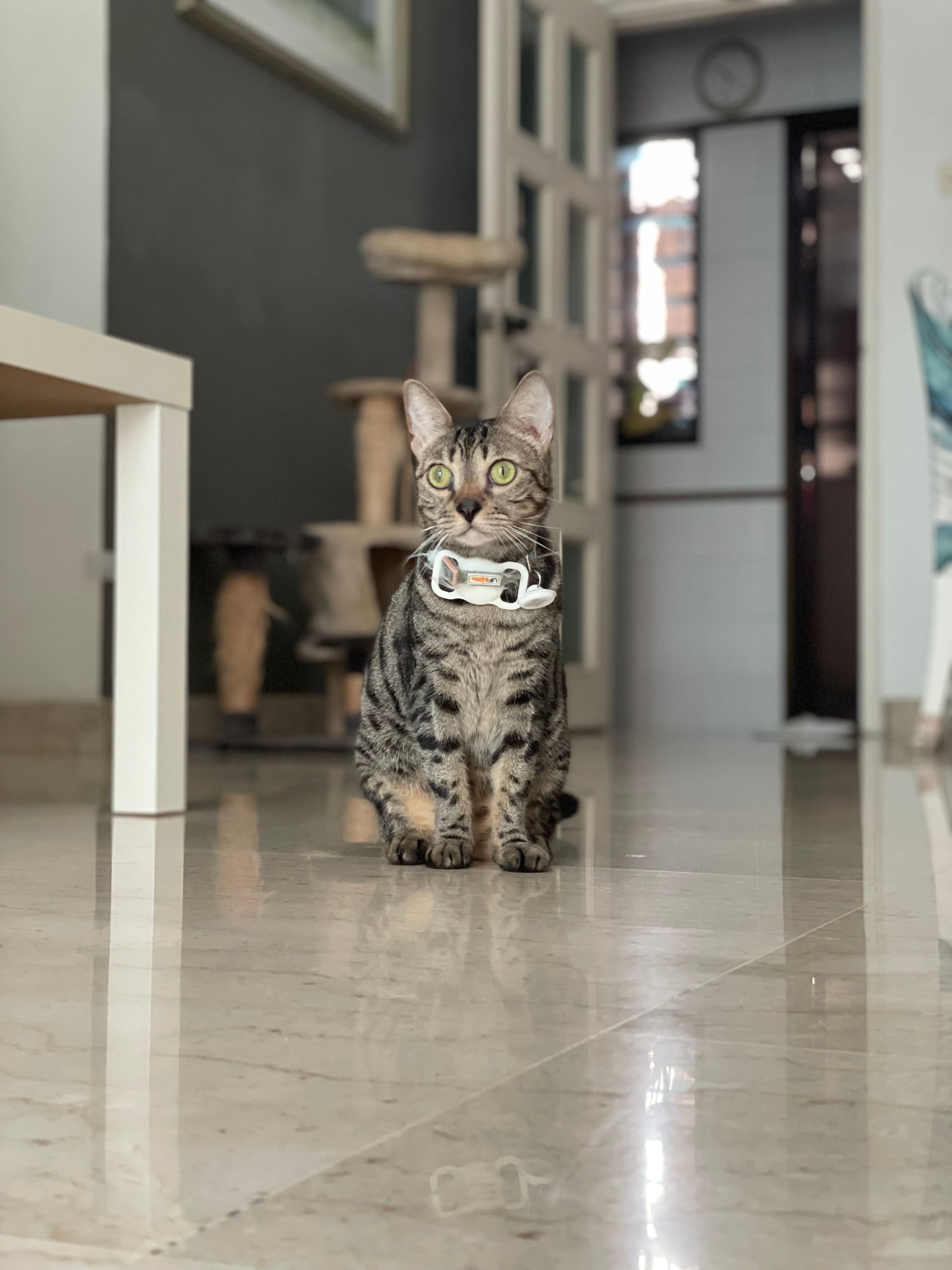 image-7