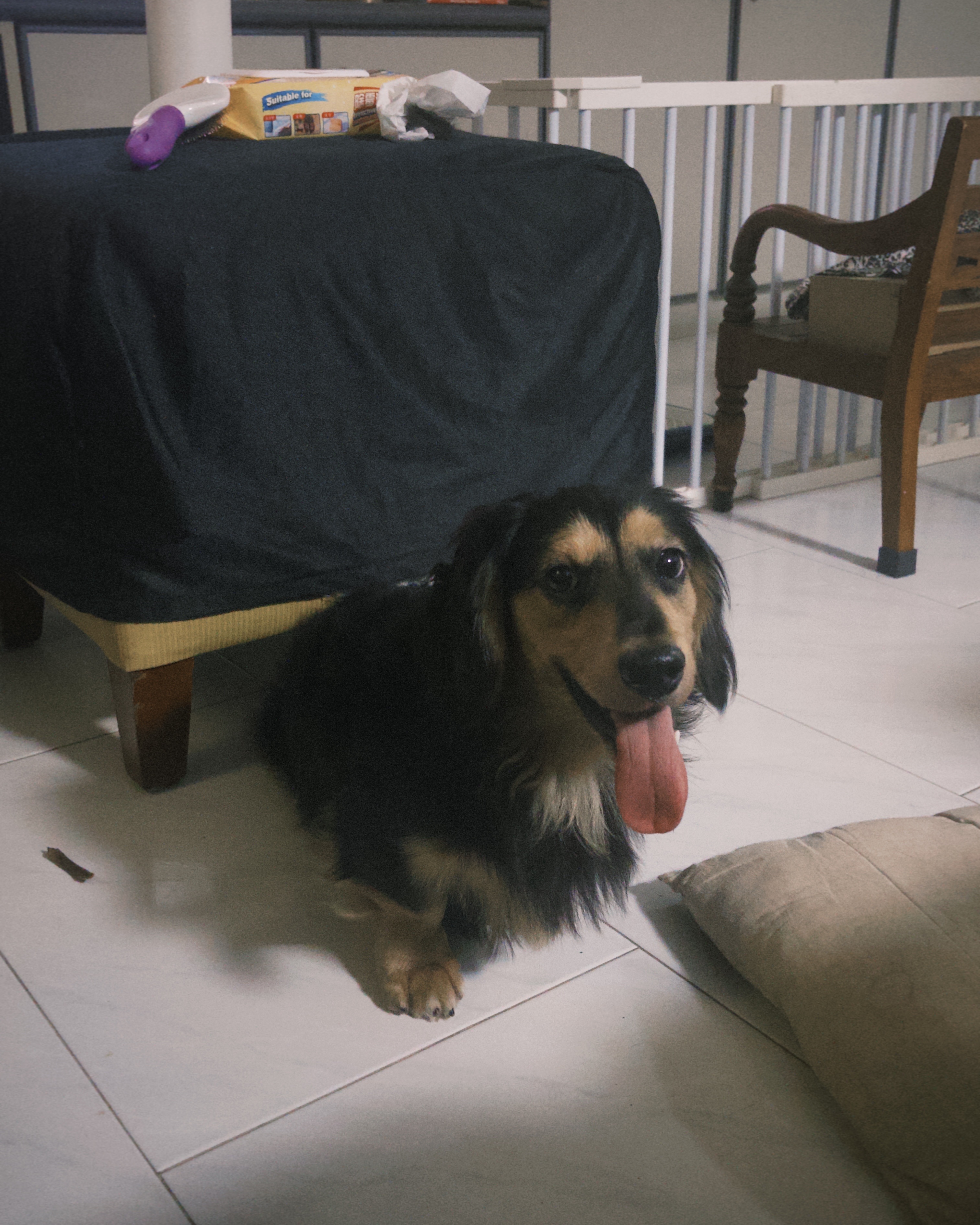 image-14