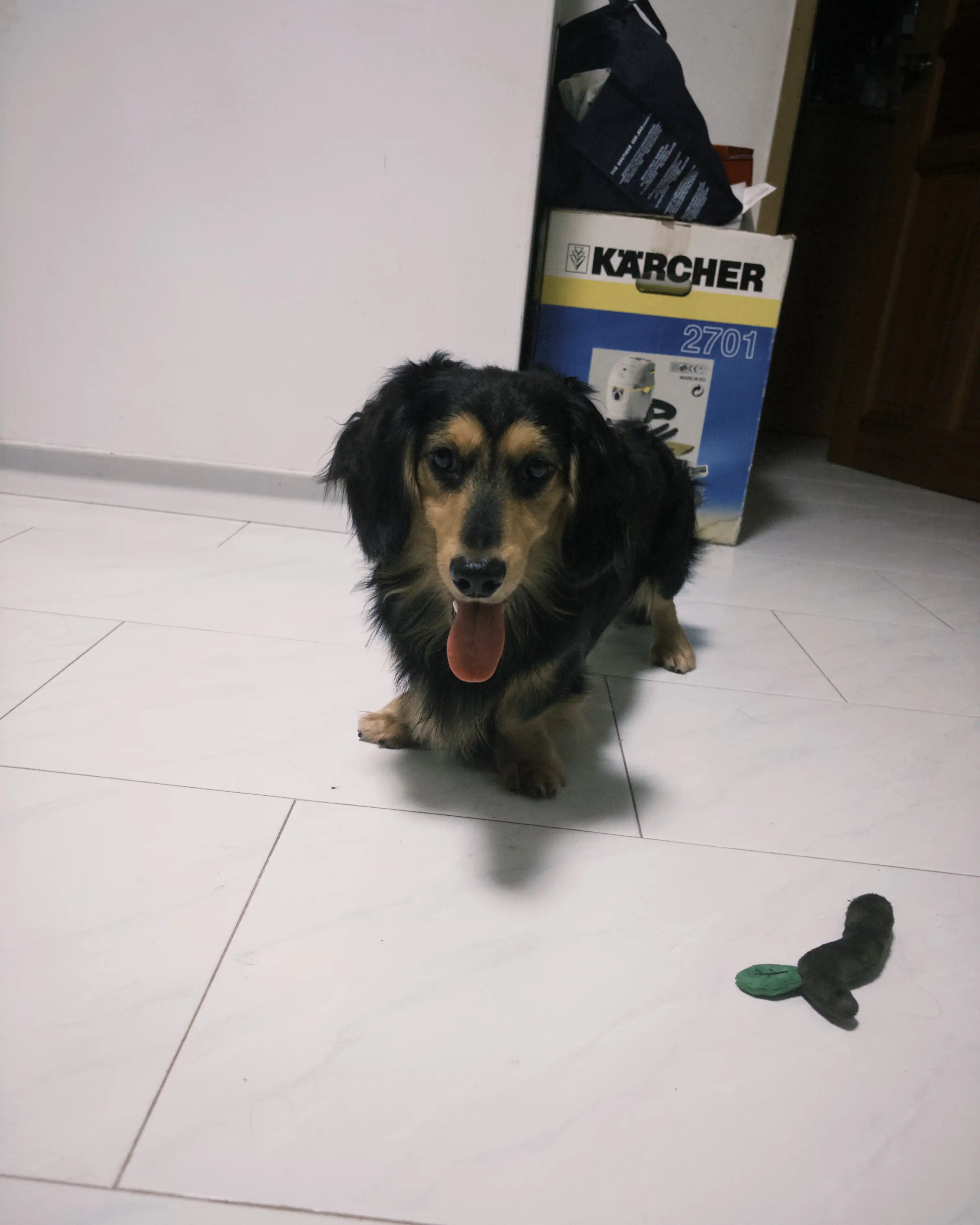 image-12