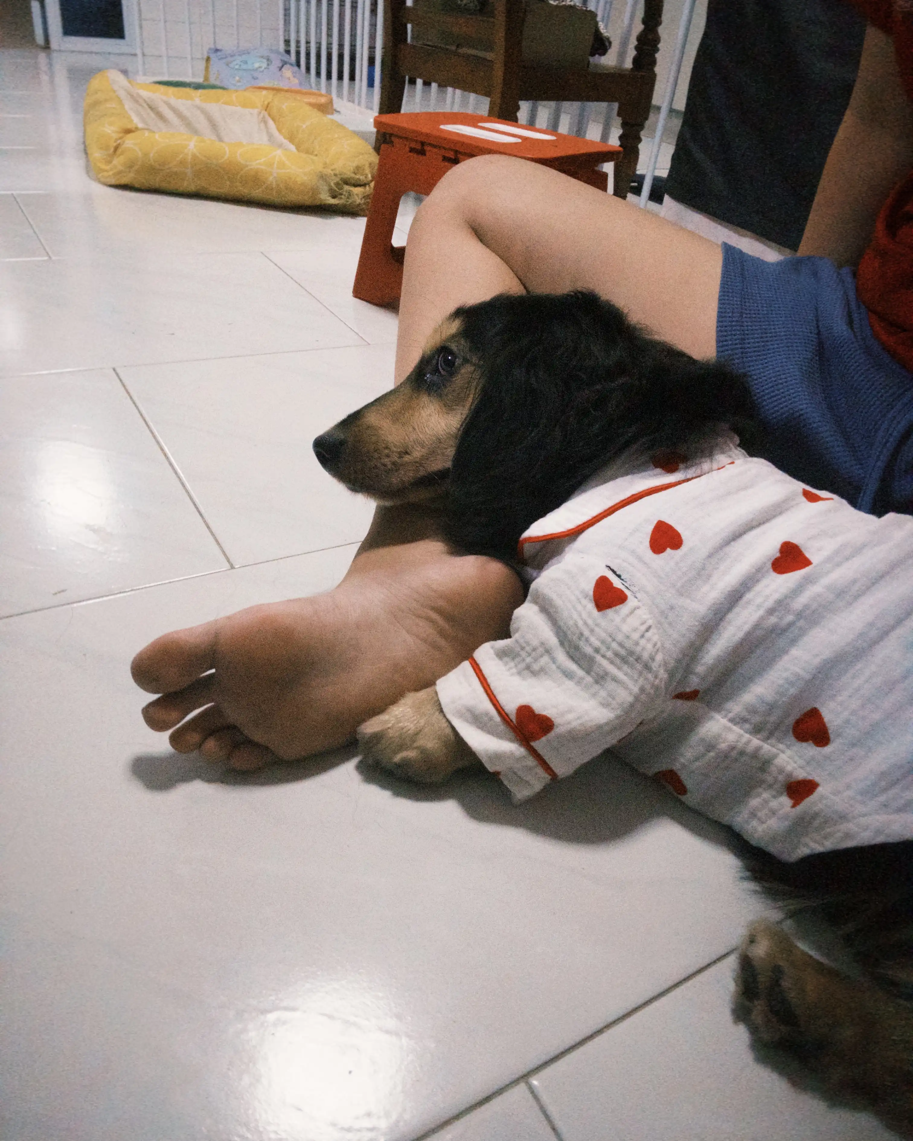 image-5