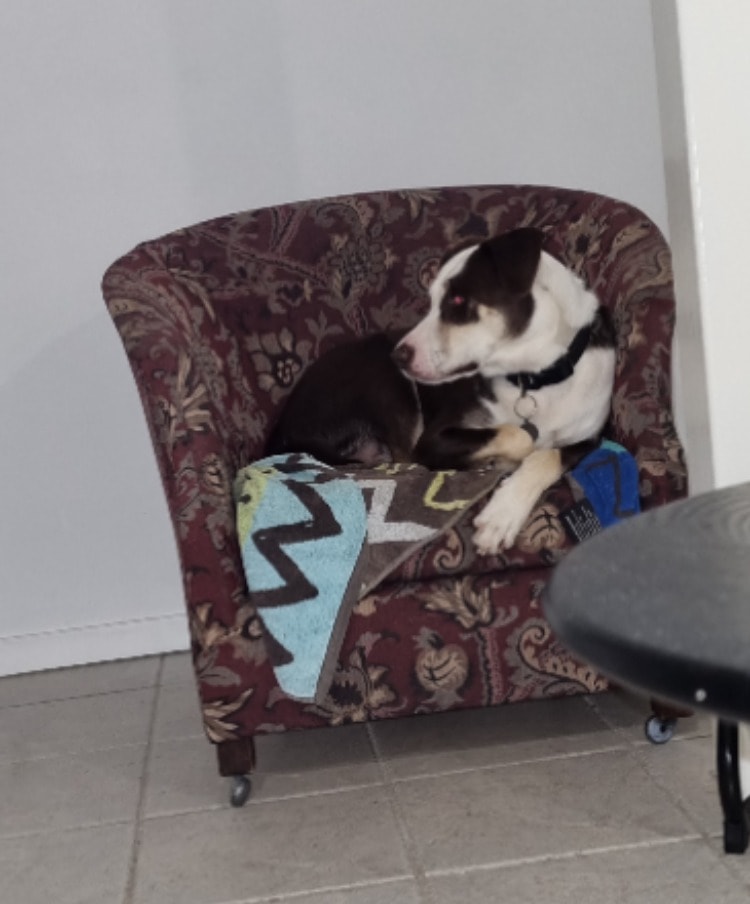 image-5