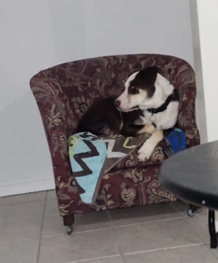 image-5